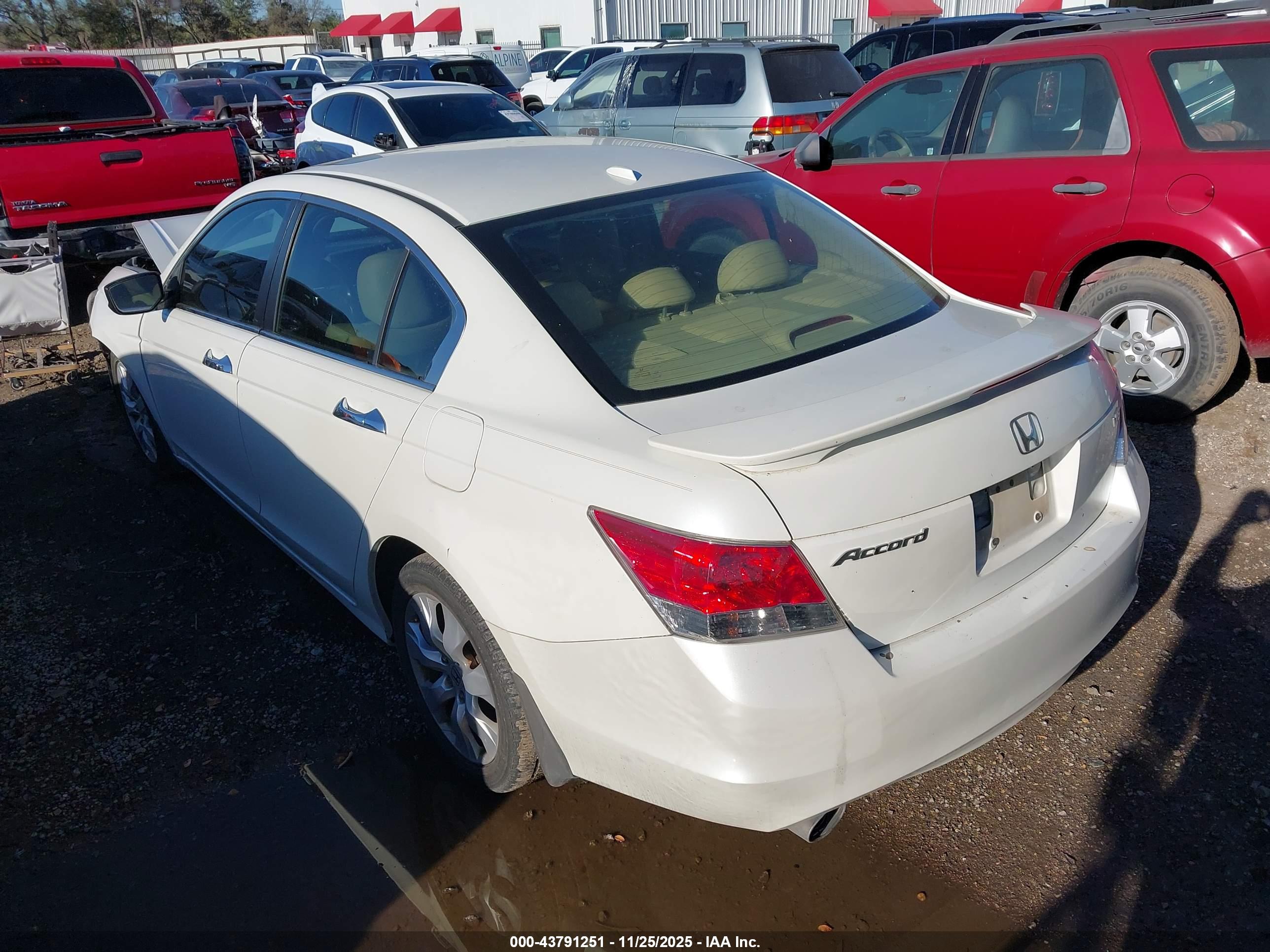 HONDA ACCORD image 3