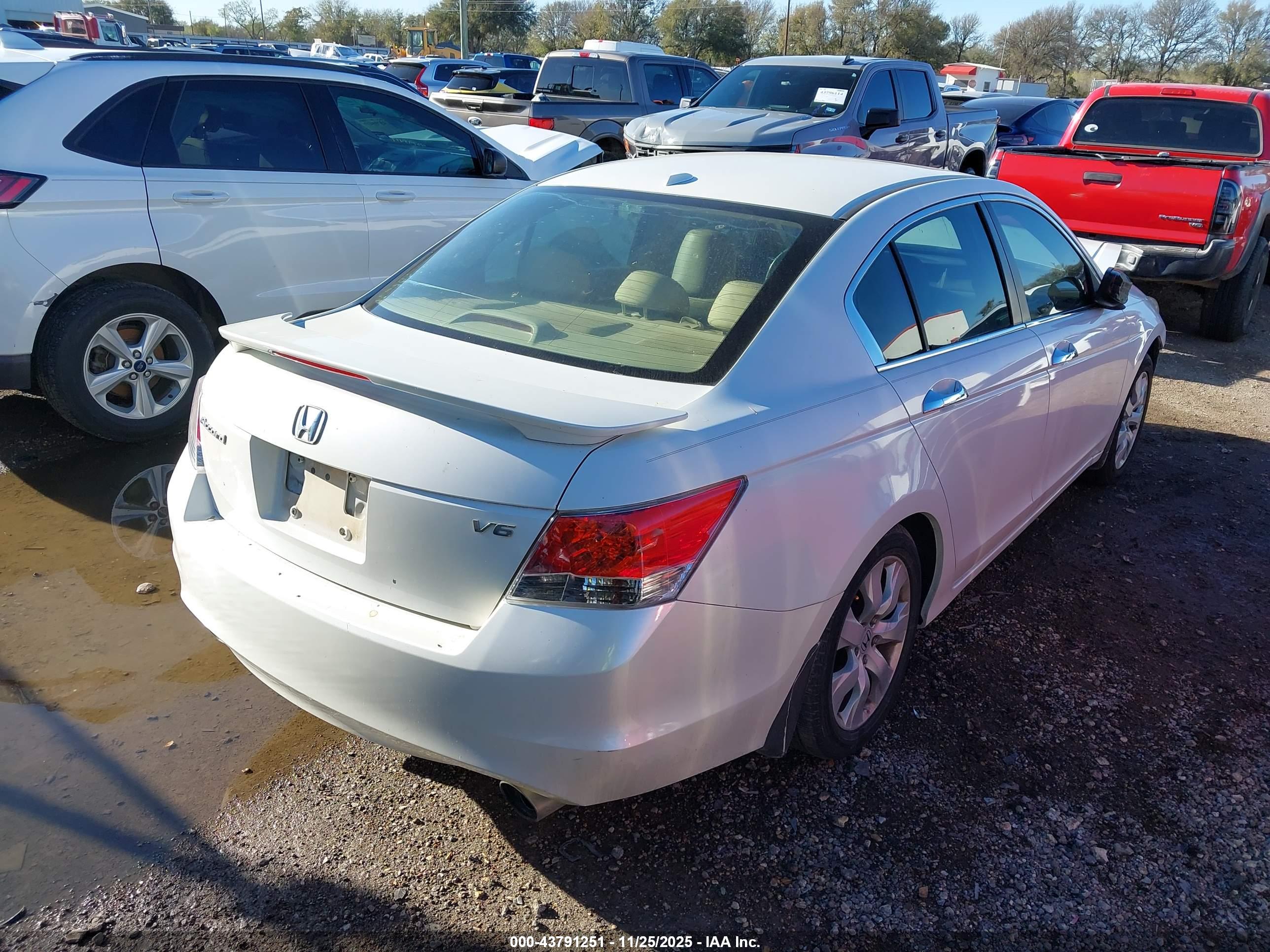 HONDA ACCORD image 4