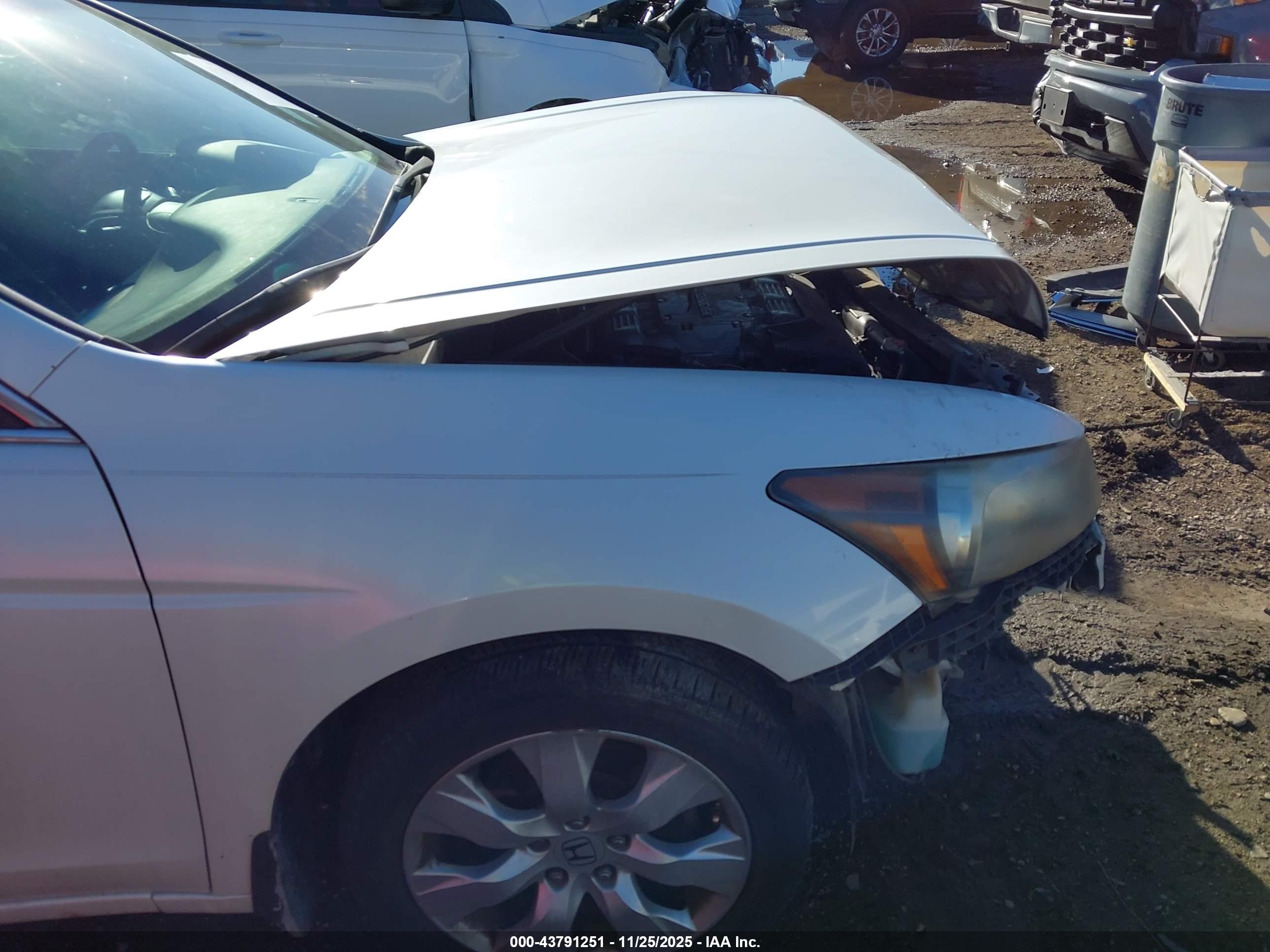 HONDA ACCORD image 6