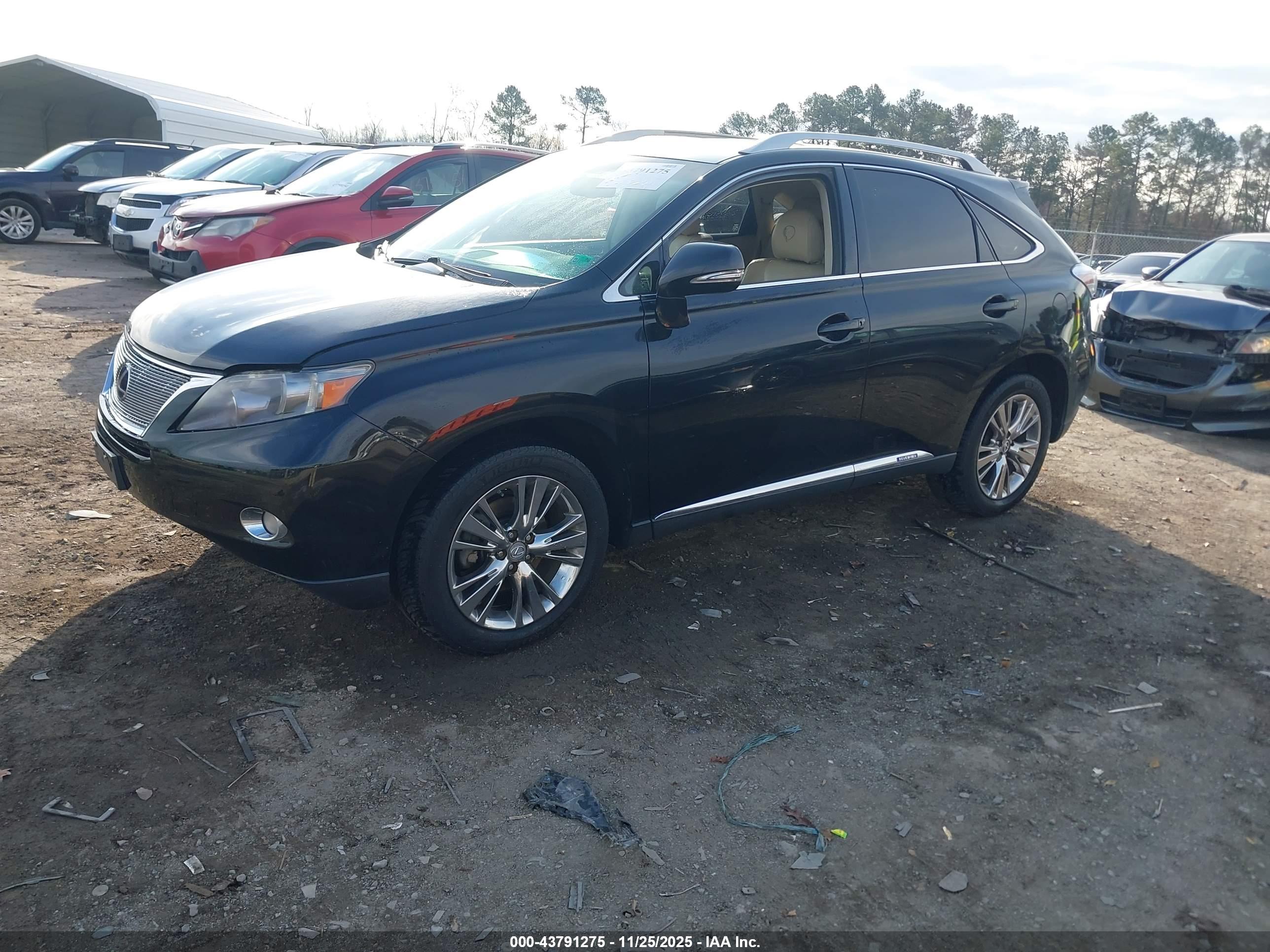 LEXUS RX image 2