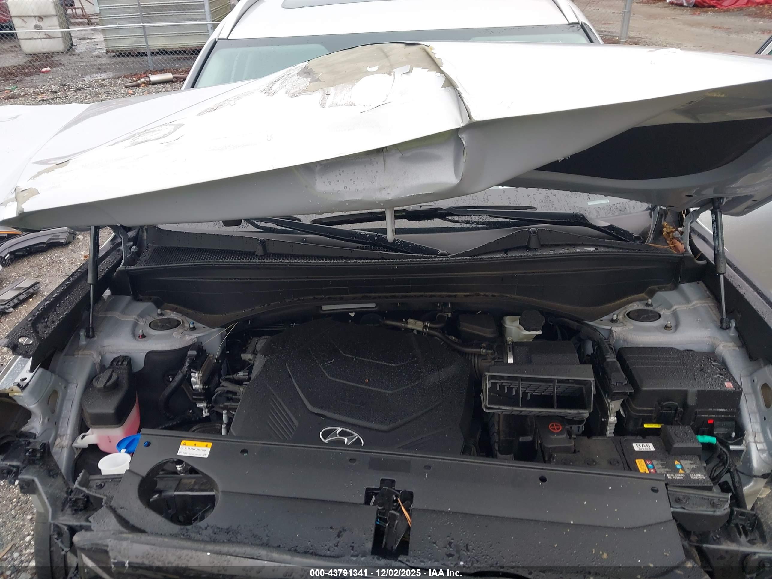 HYUNDAI PALISADE image 10