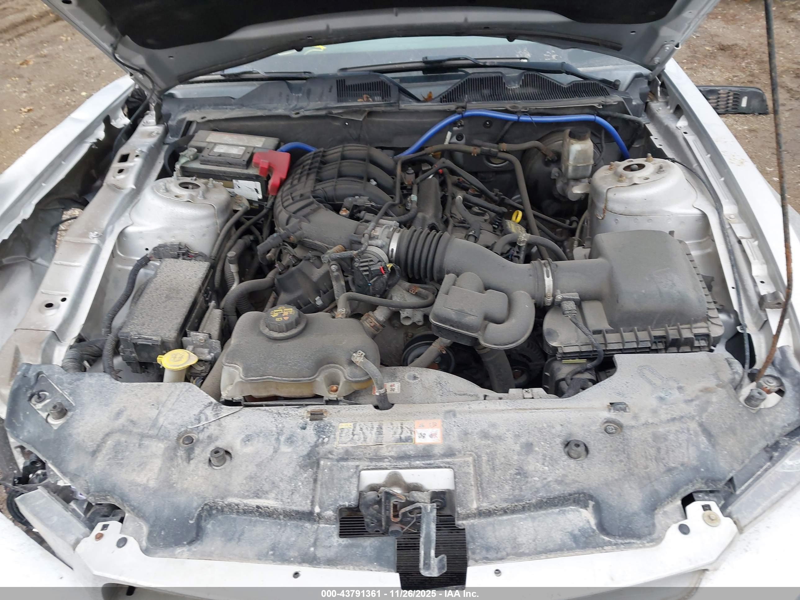 FORD MUSTANG image 10