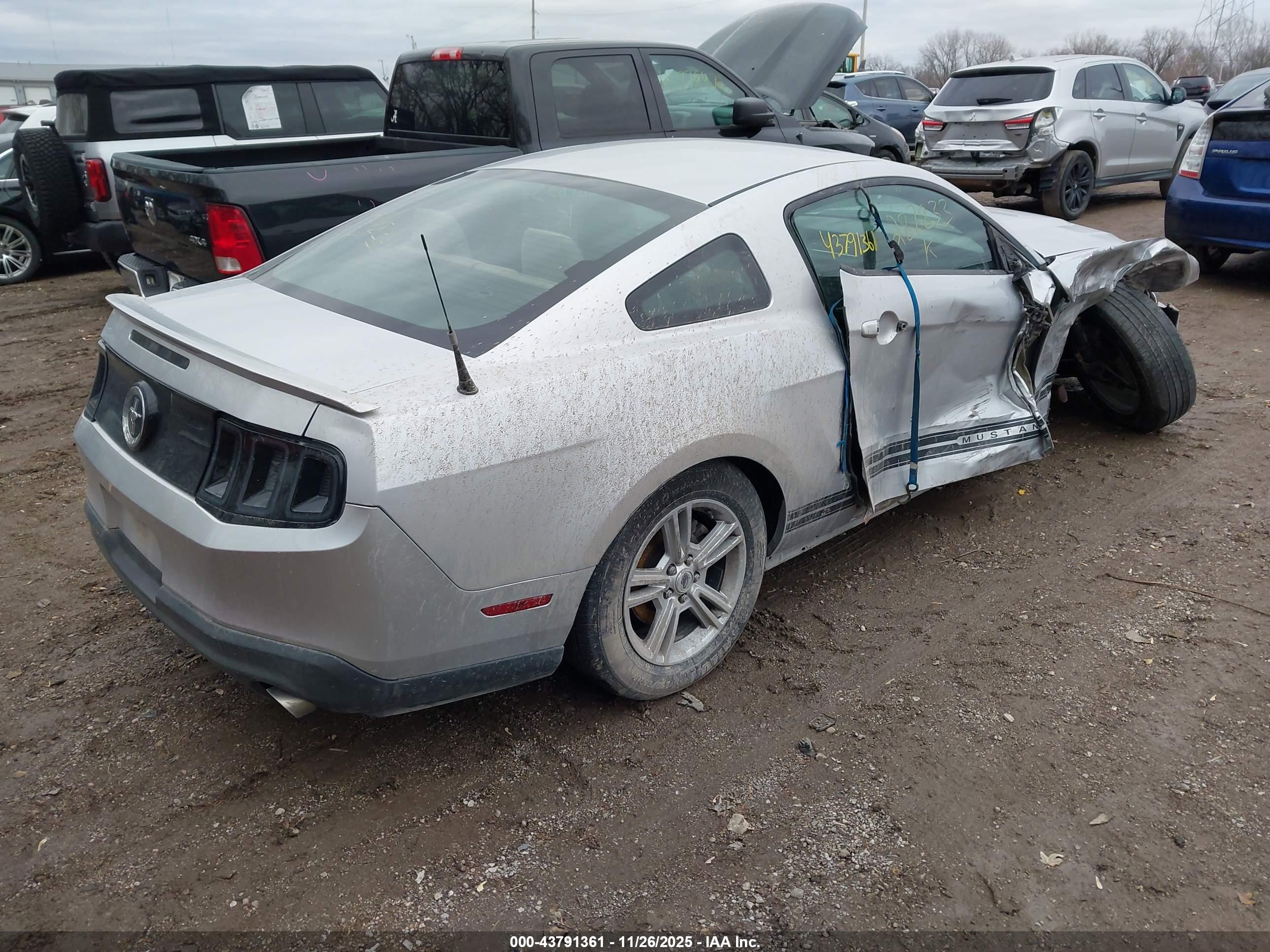 FORD MUSTANG image 4
