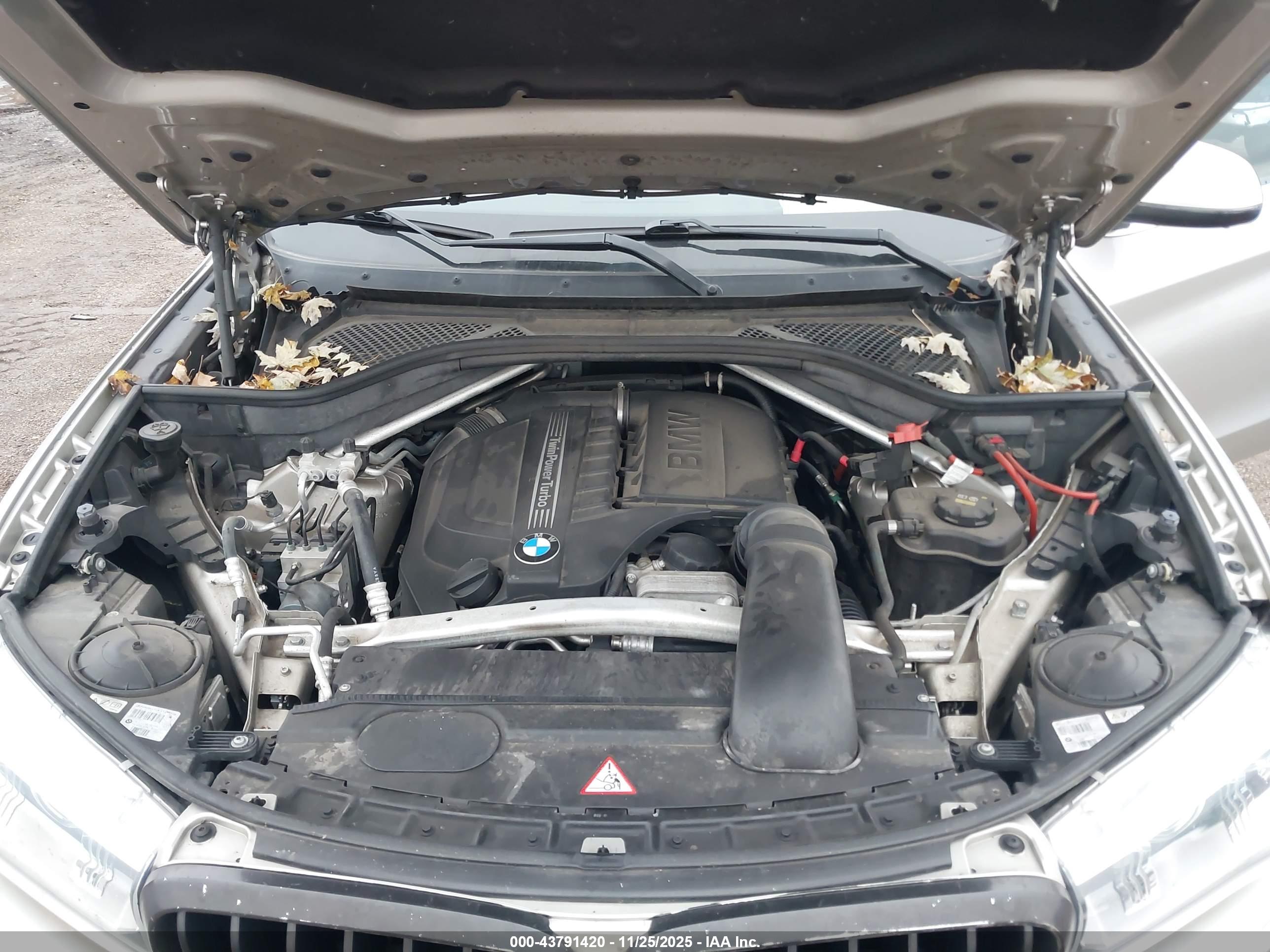 BMW X5 image 10