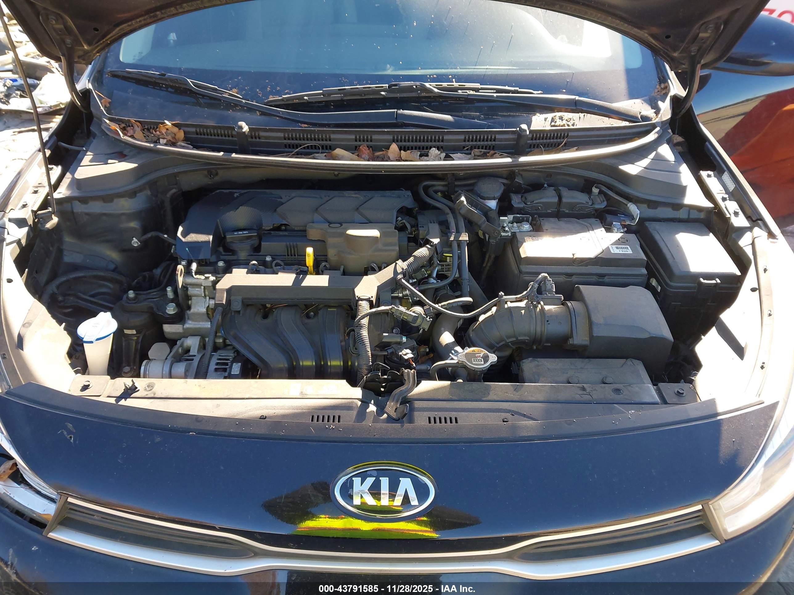 KIA RIO image 10