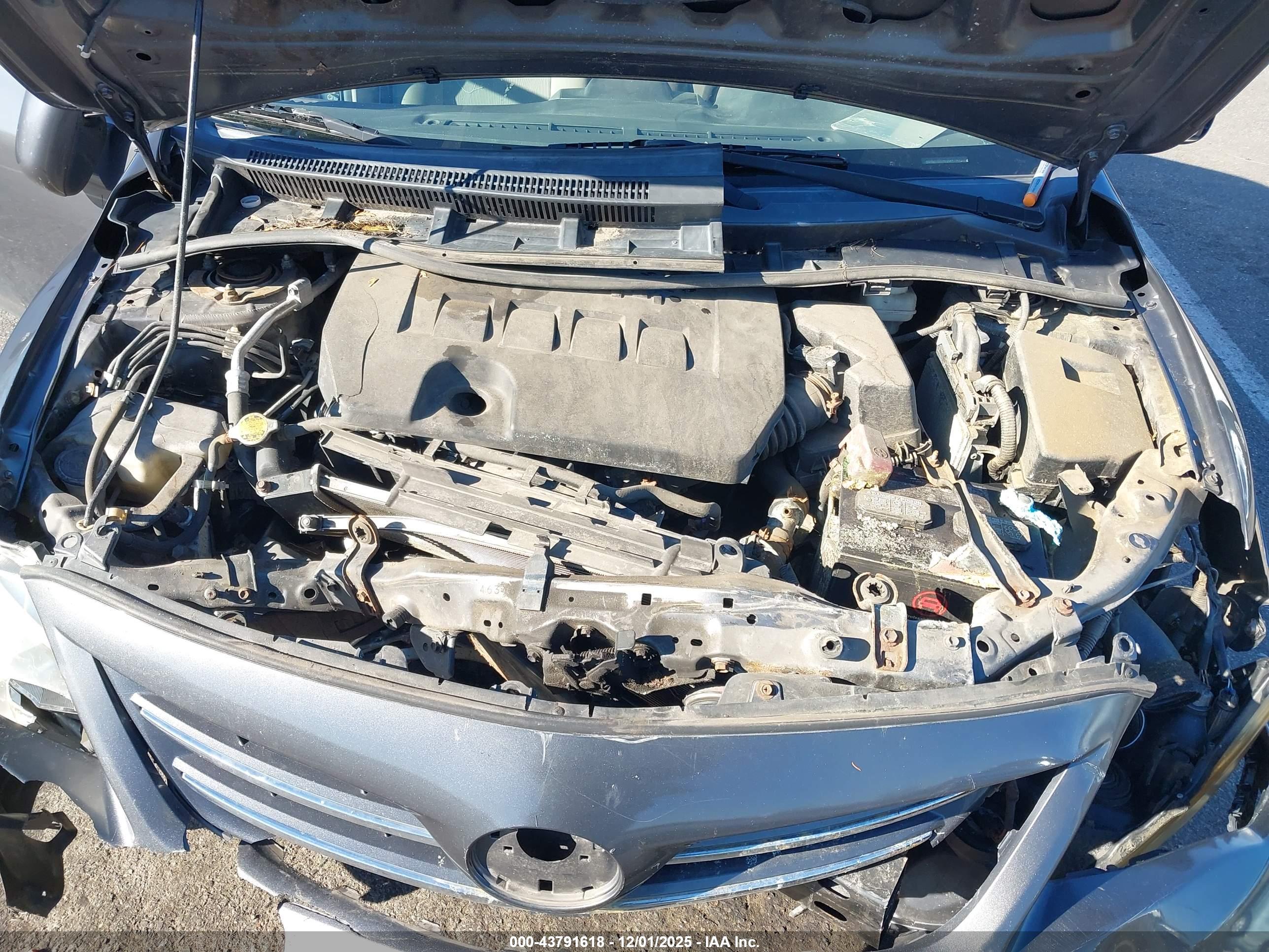 TOYOTA COROLLA image 10