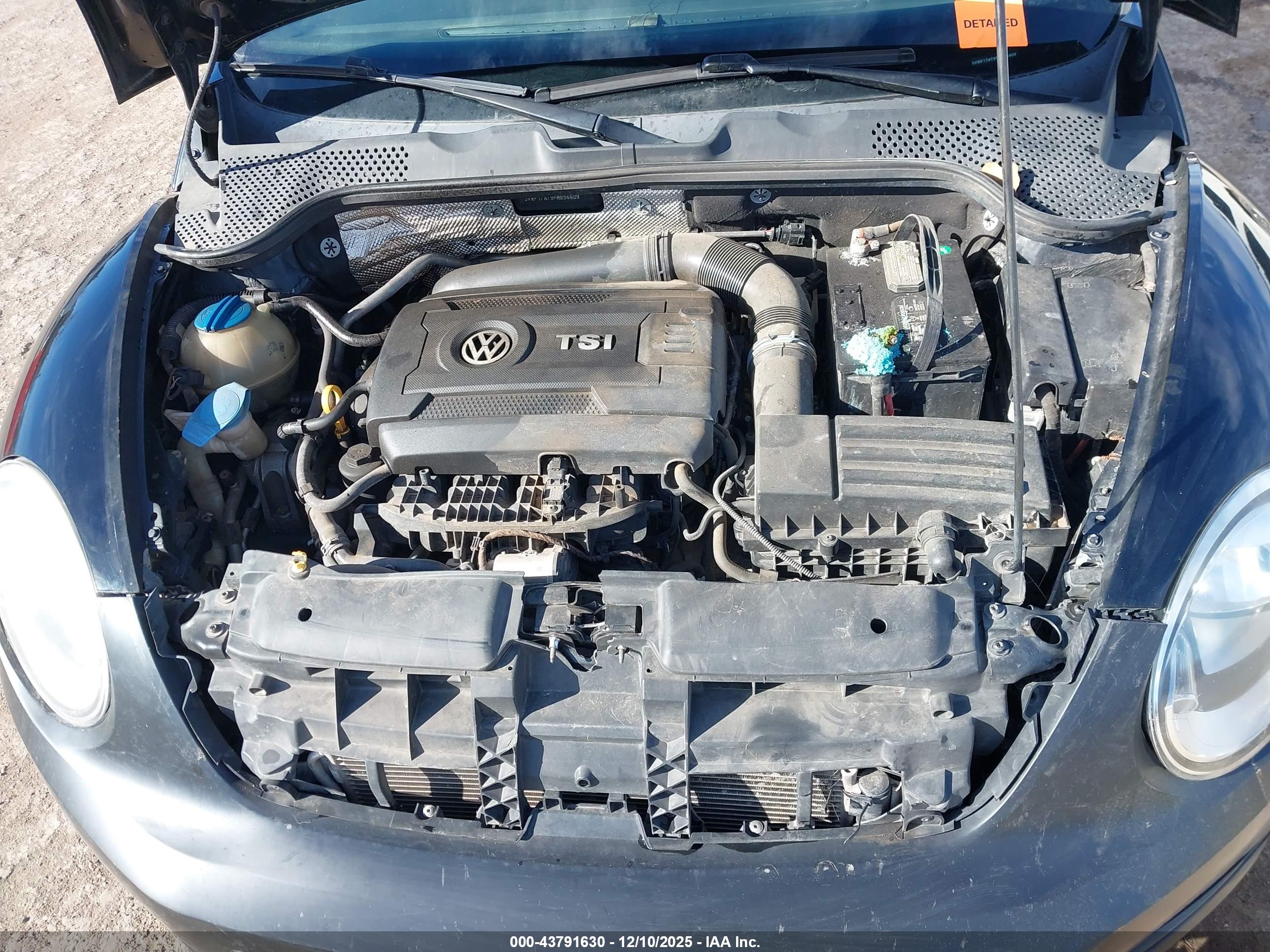 VOLKSWAGEN BEETLE image 10