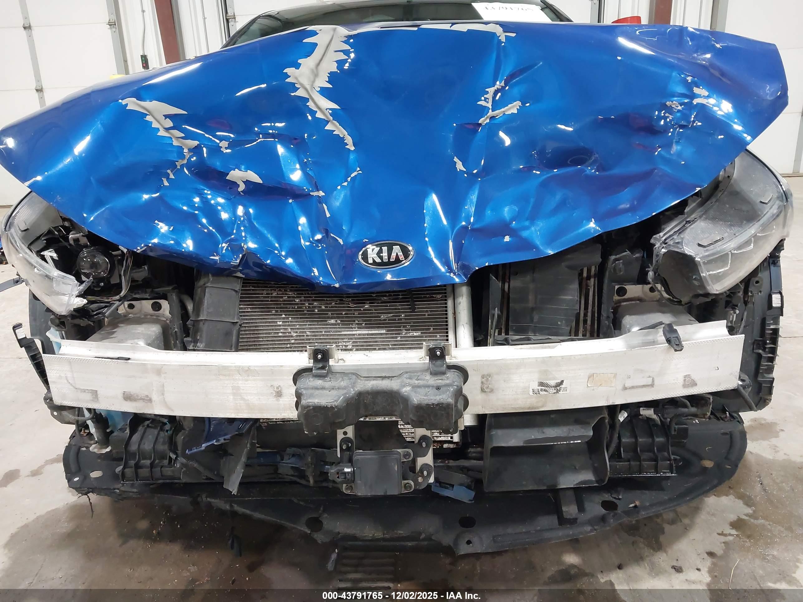 KIA K5 image 6