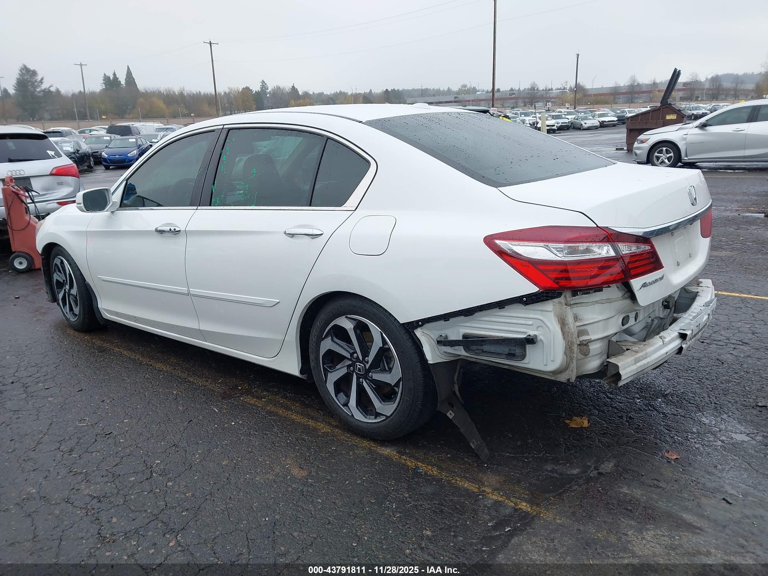 HONDA ACCORD image 3