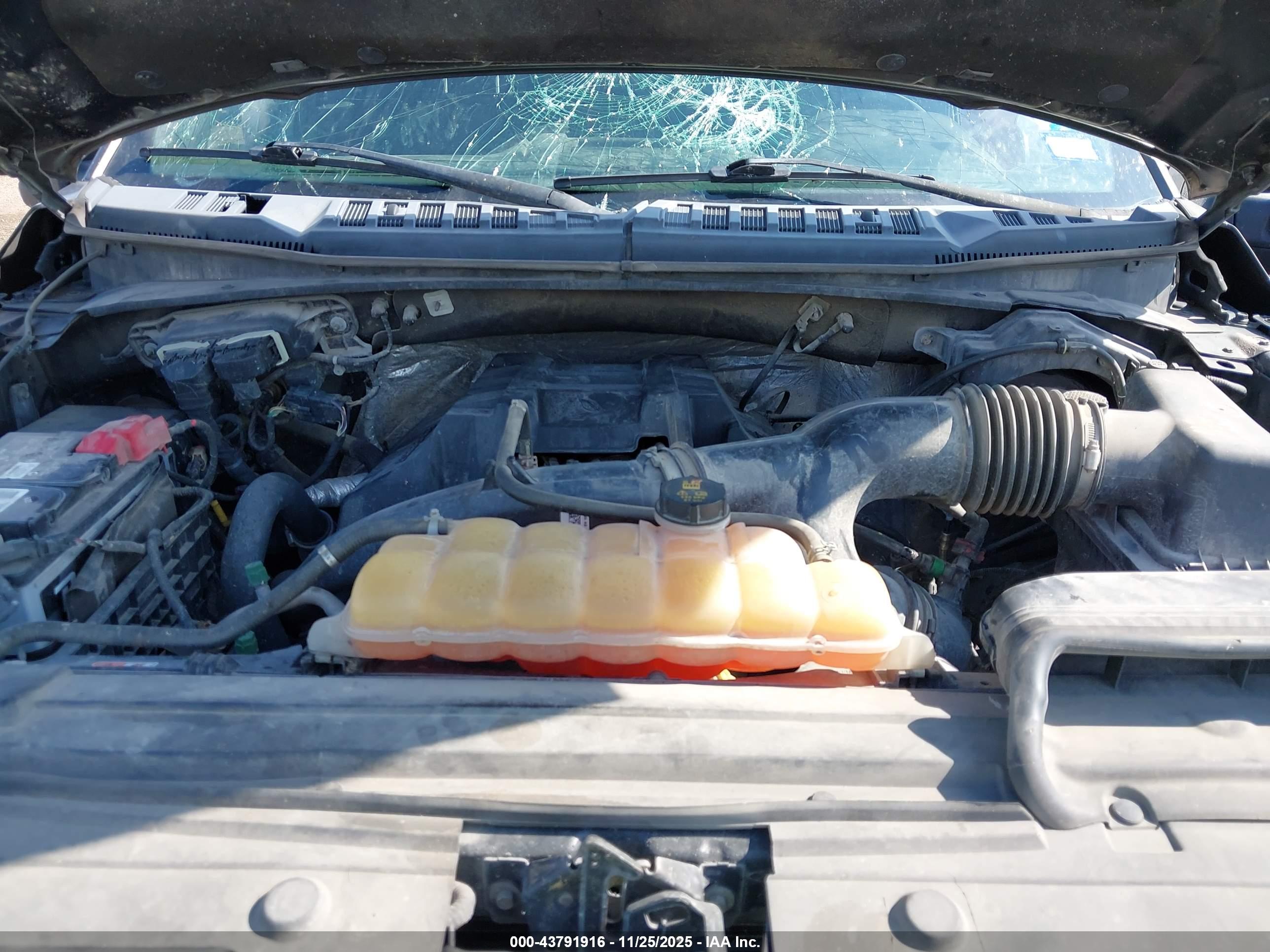 FORD F-150 image 10