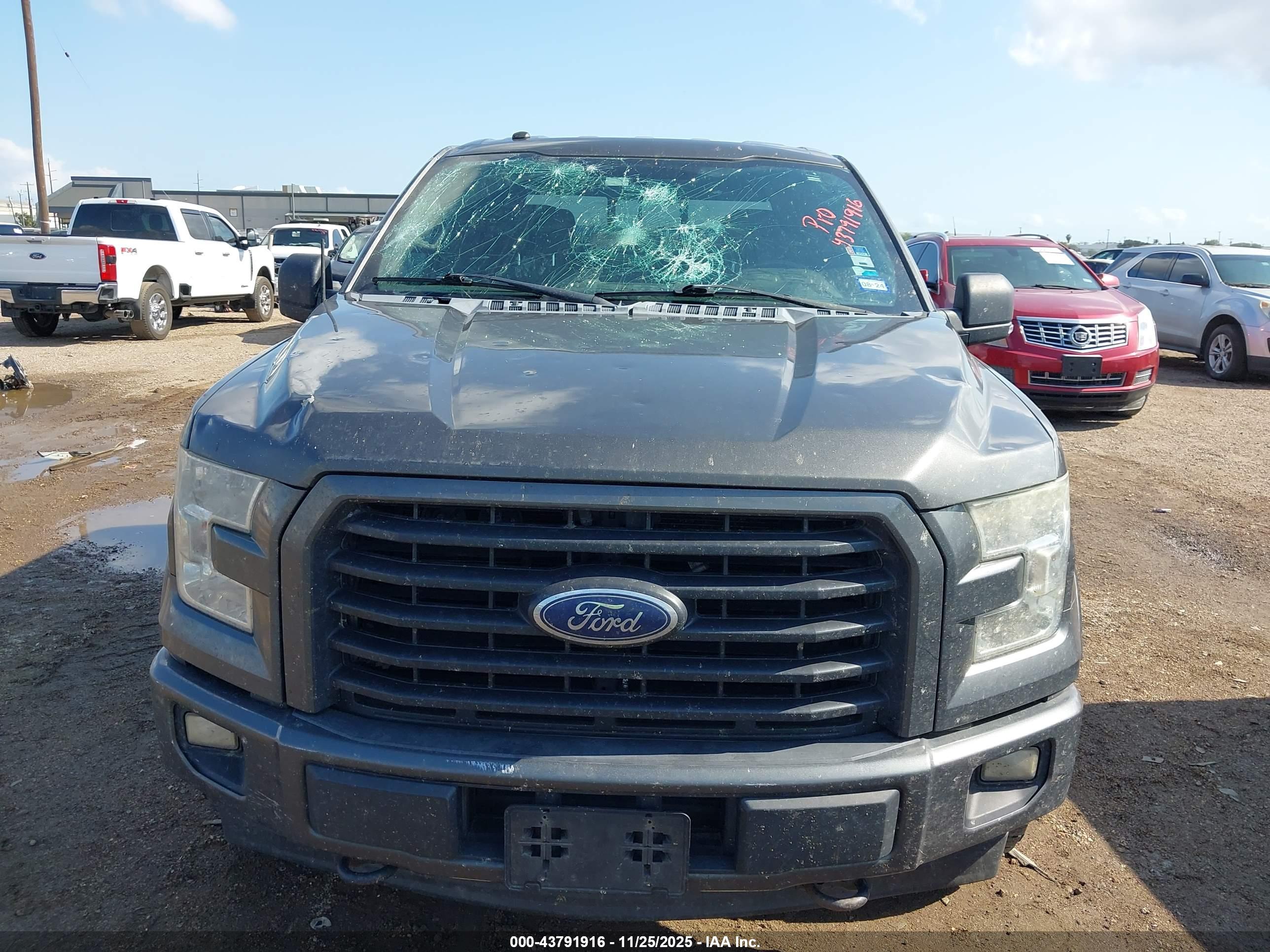 FORD F-150 image 6