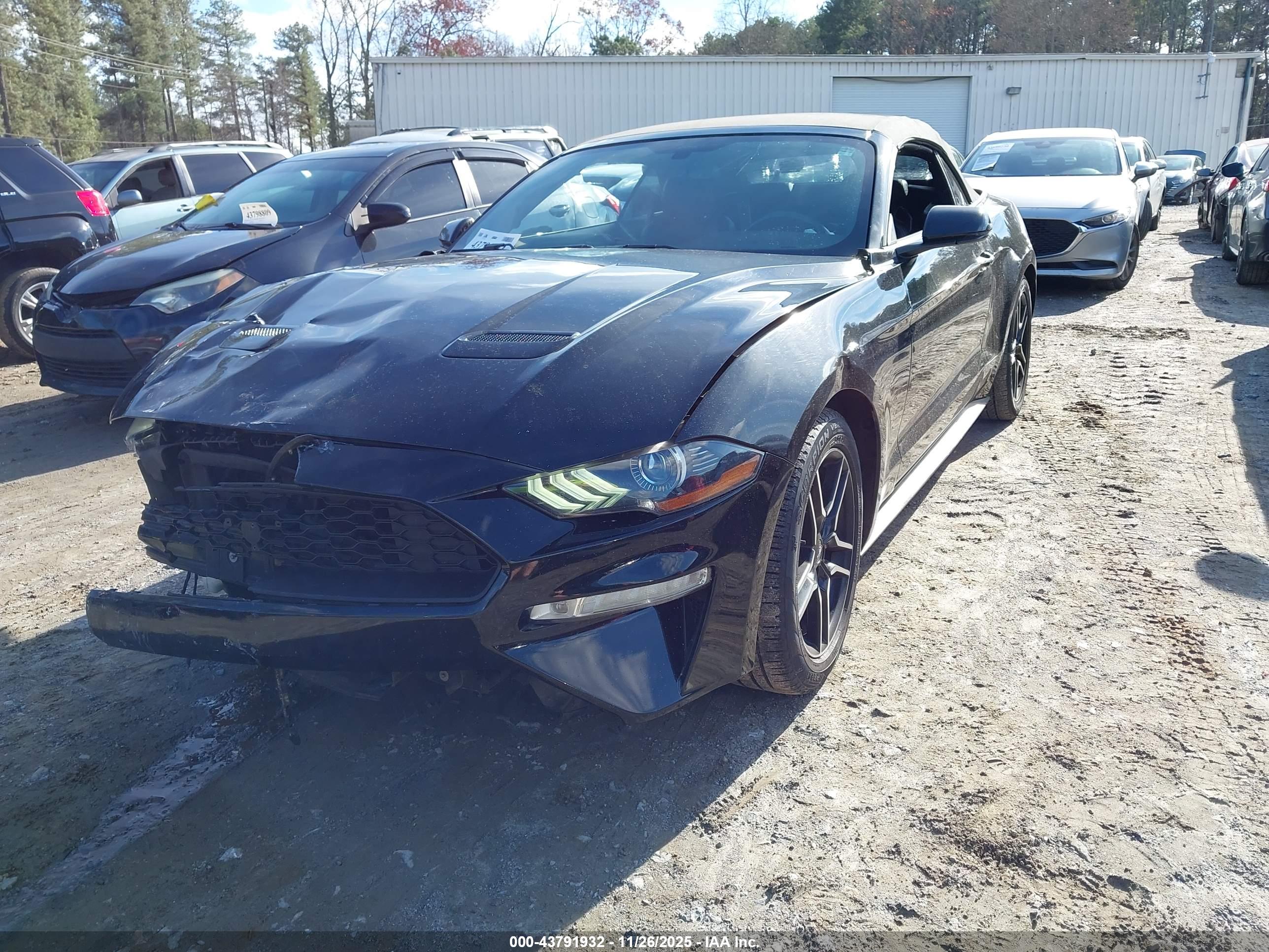 FORD MUSTANG image 2