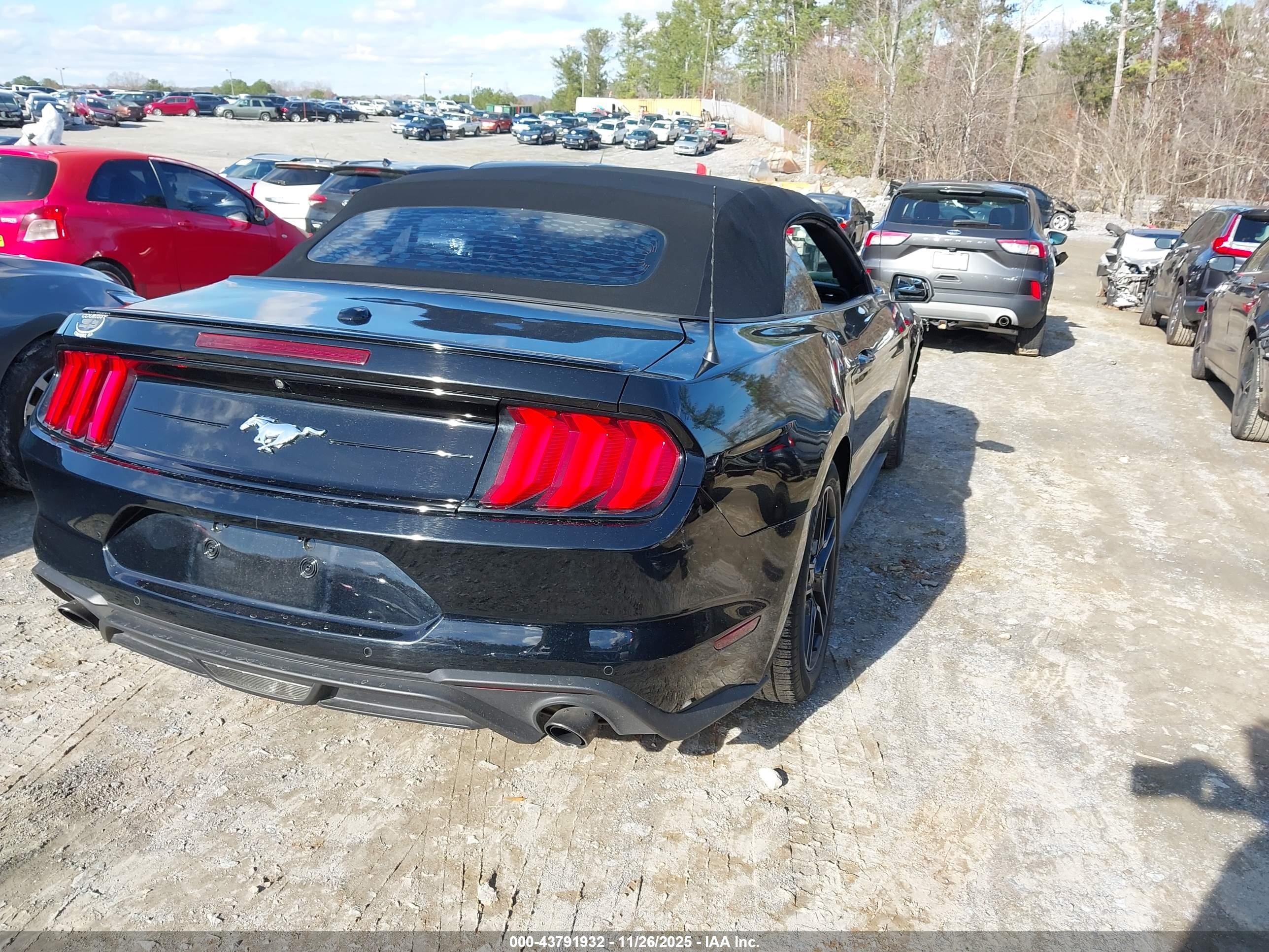 FORD MUSTANG image 4