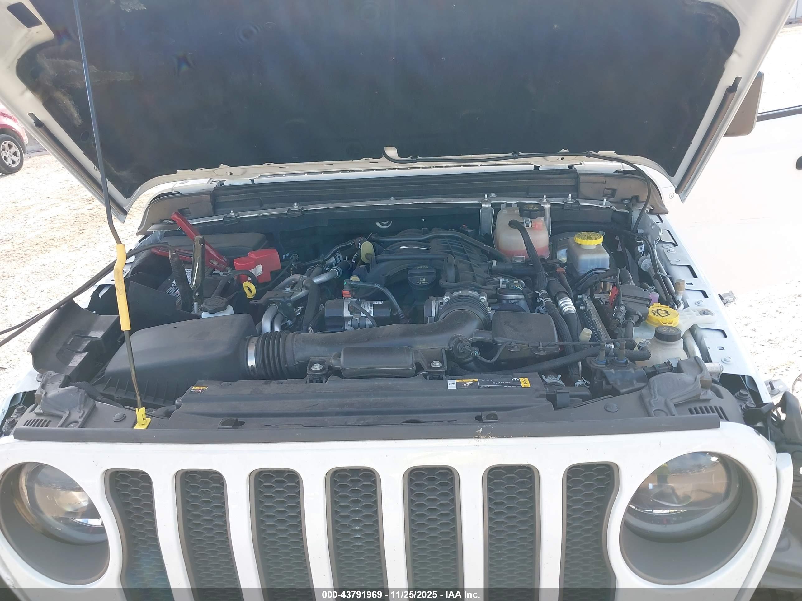JEEP WRANGLER image 10