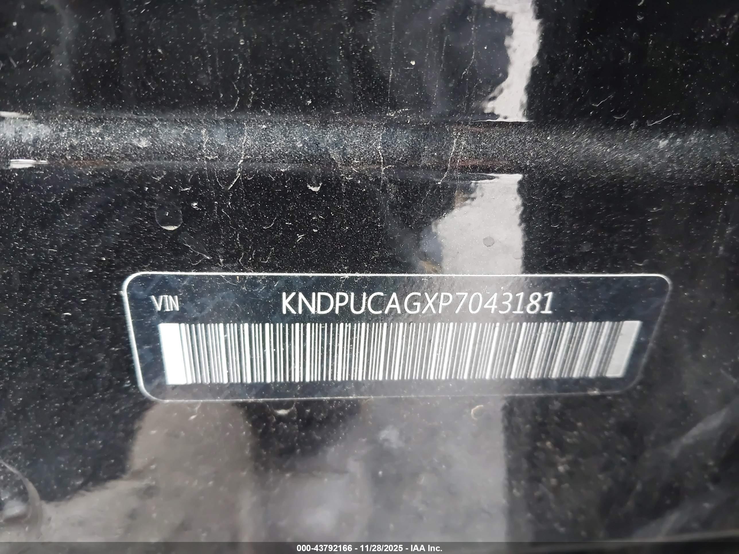KIA SPORTAGE image 9