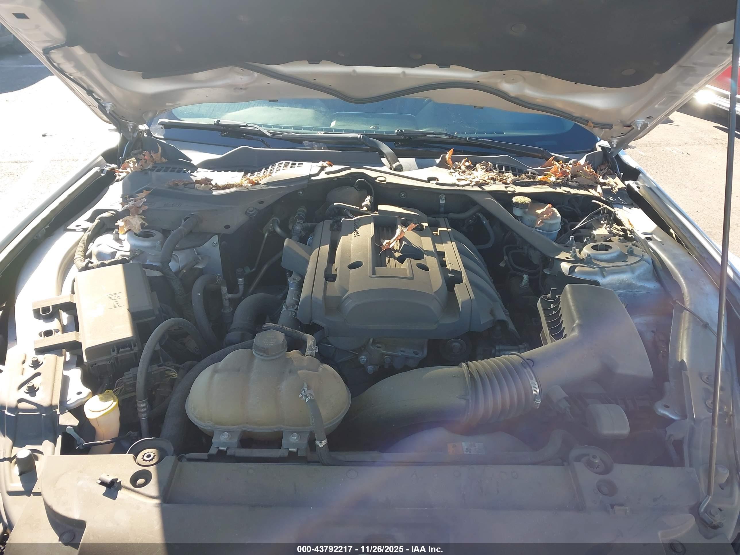 FORD MUSTANG image 10