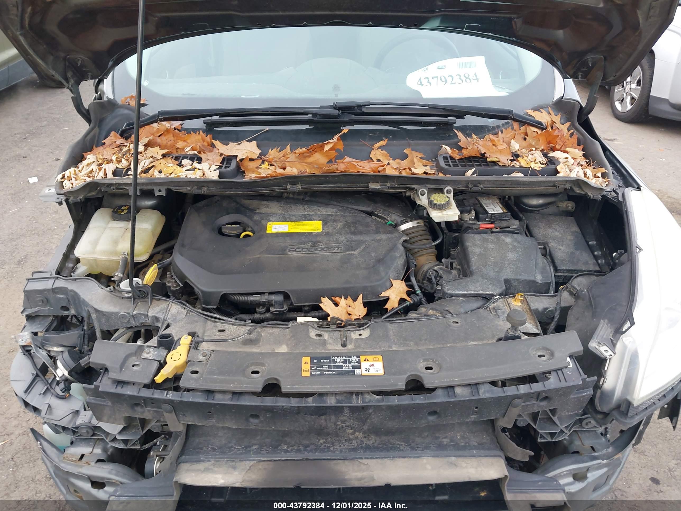 FORD ESCAPE image 10