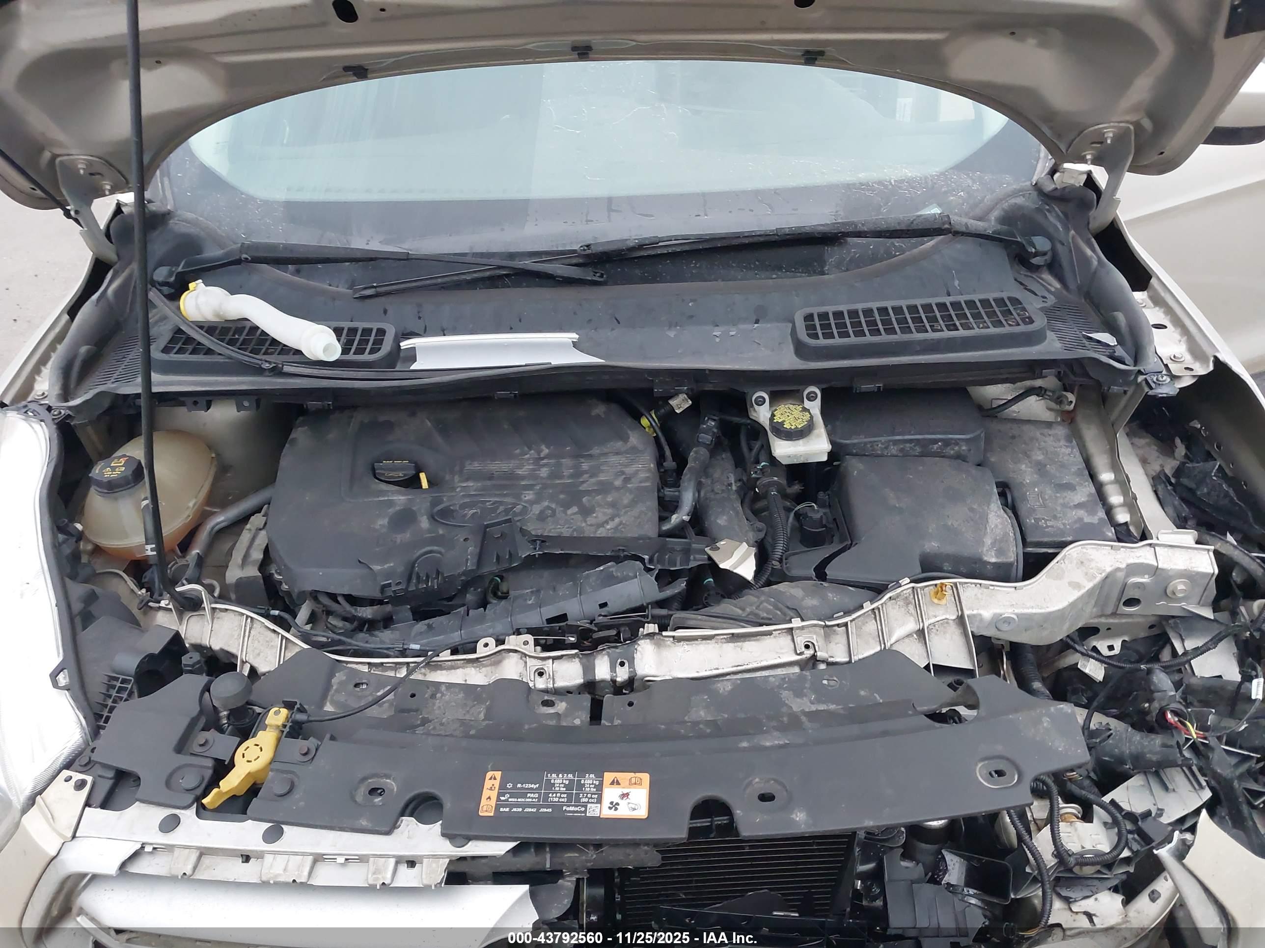FORD ESCAPE image 10