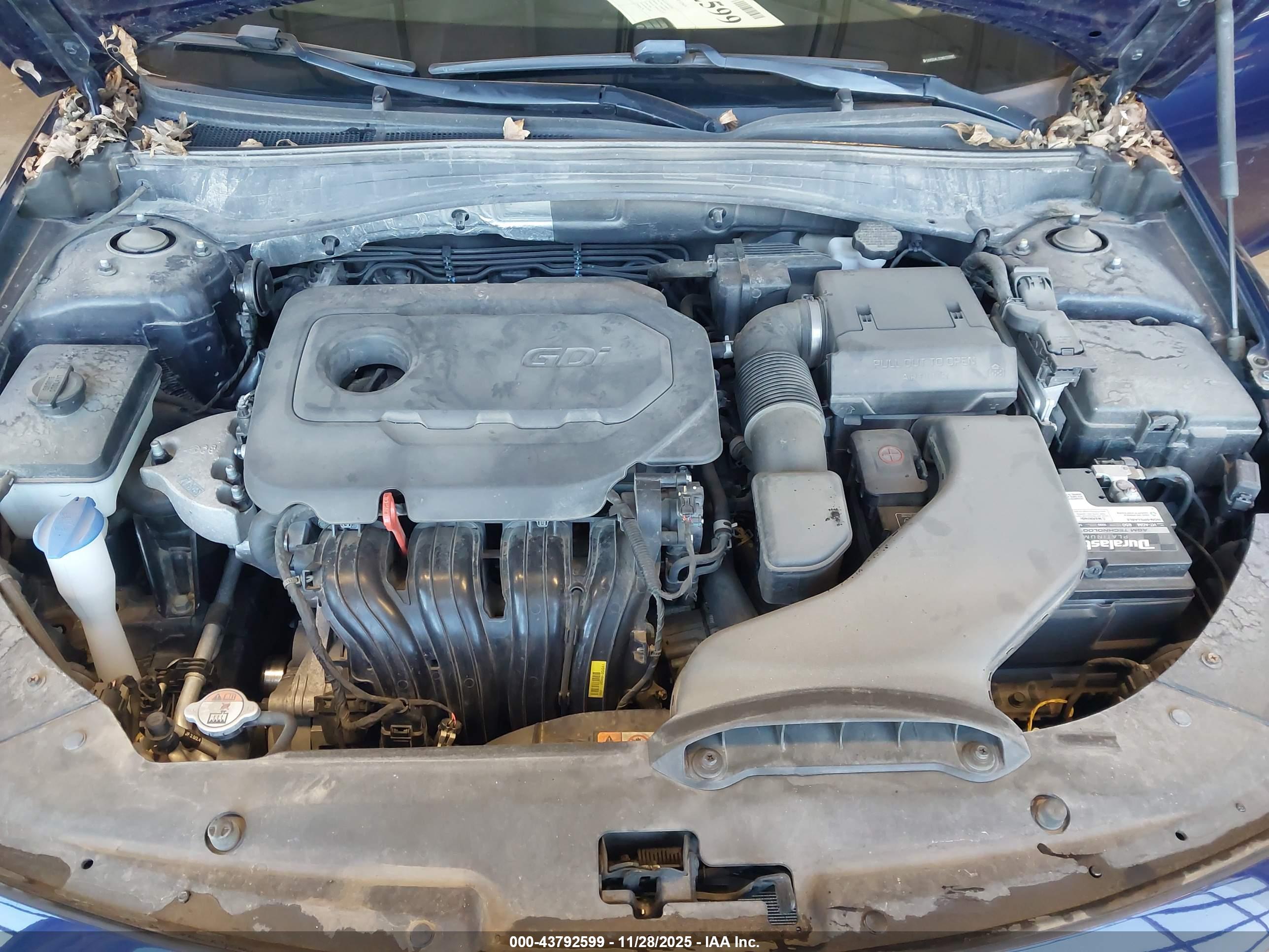 KIA OPTIMA image 10