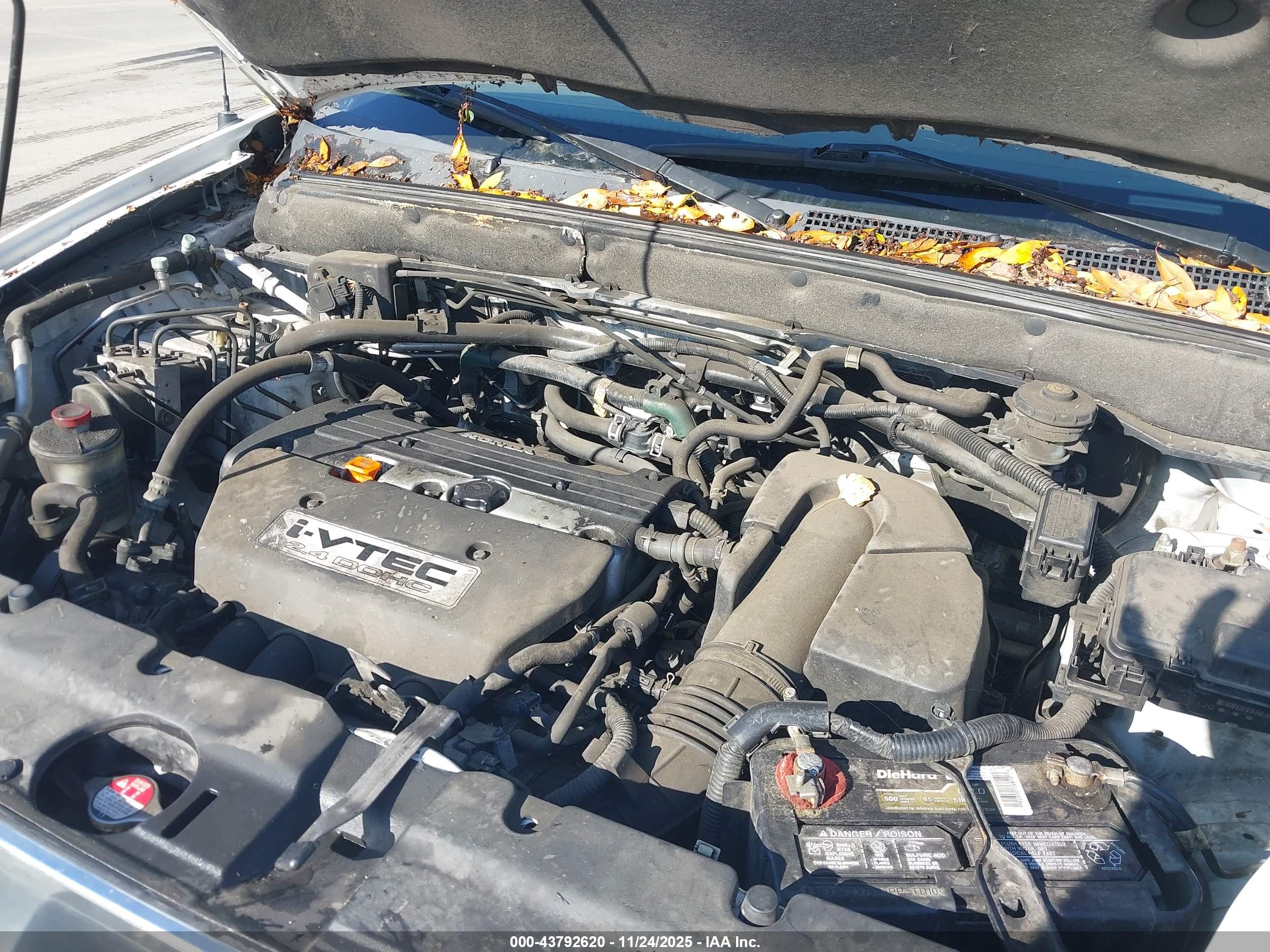 HONDA CR-V image 10