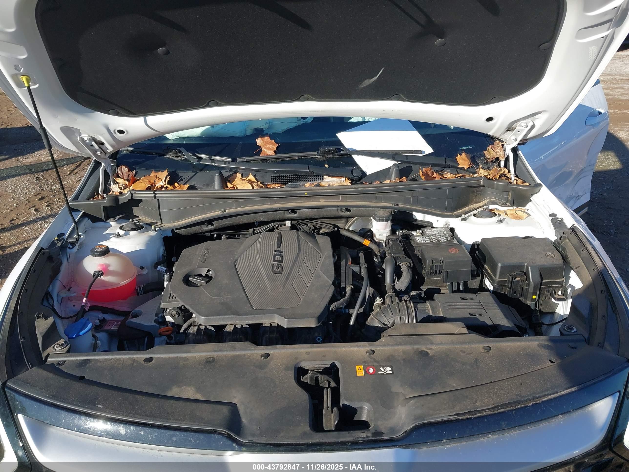 KIA SPORTAGE image 10