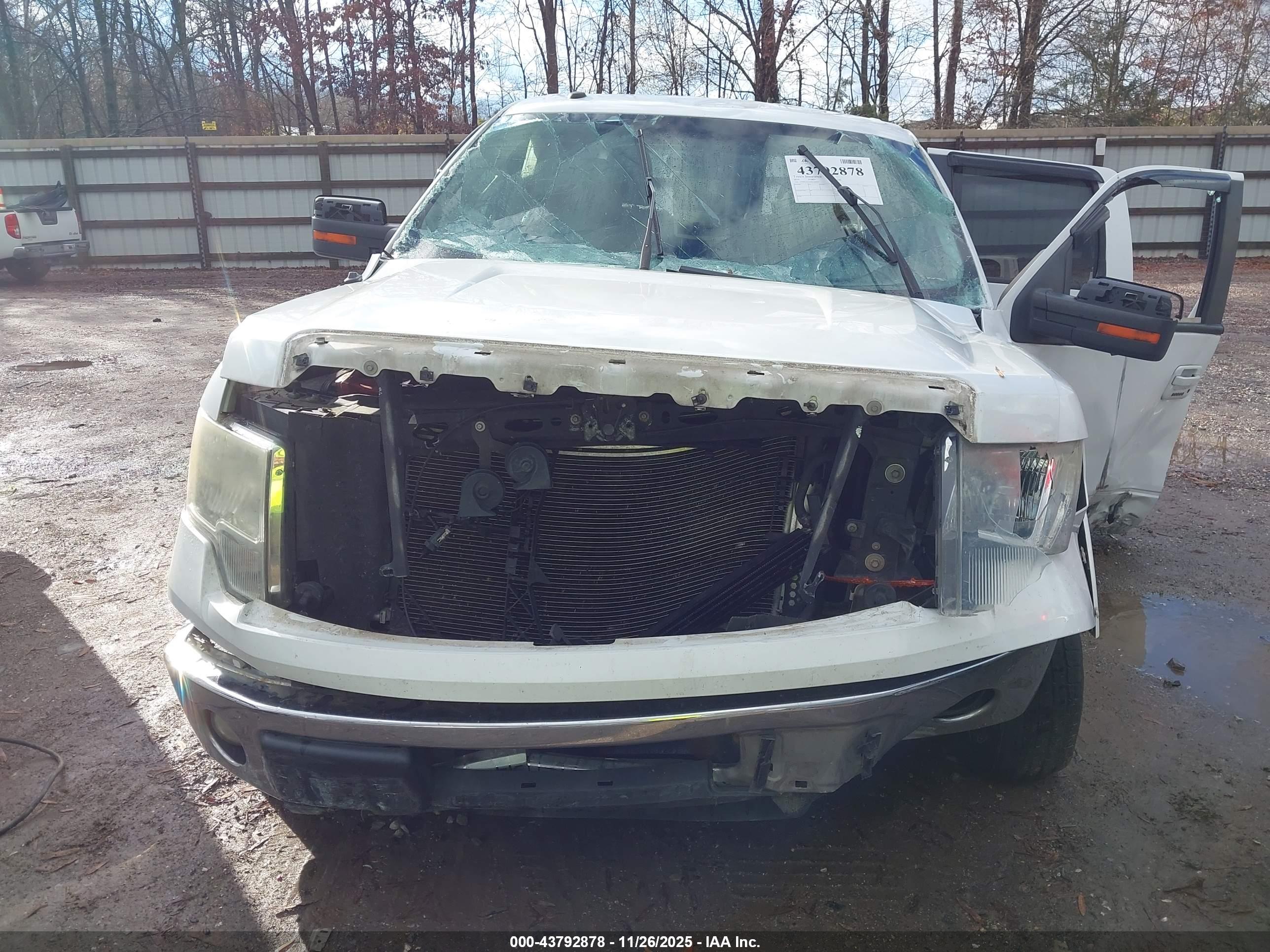 FORD F-150 image 6