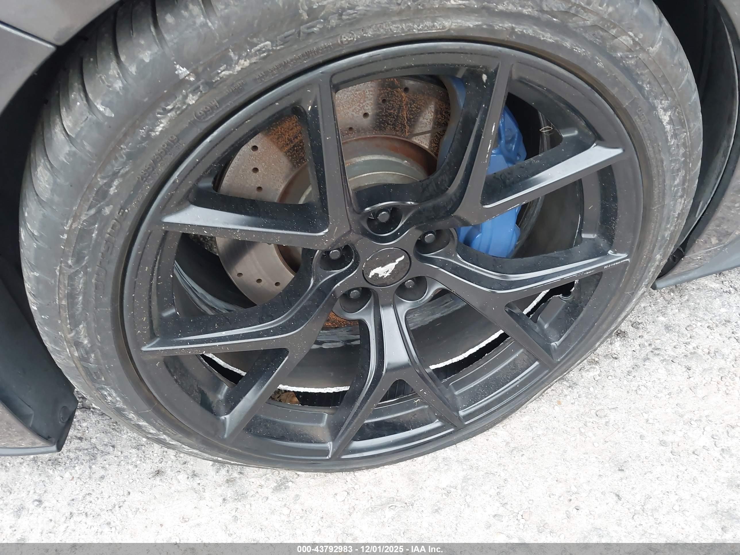FORD MUSTANG image 6