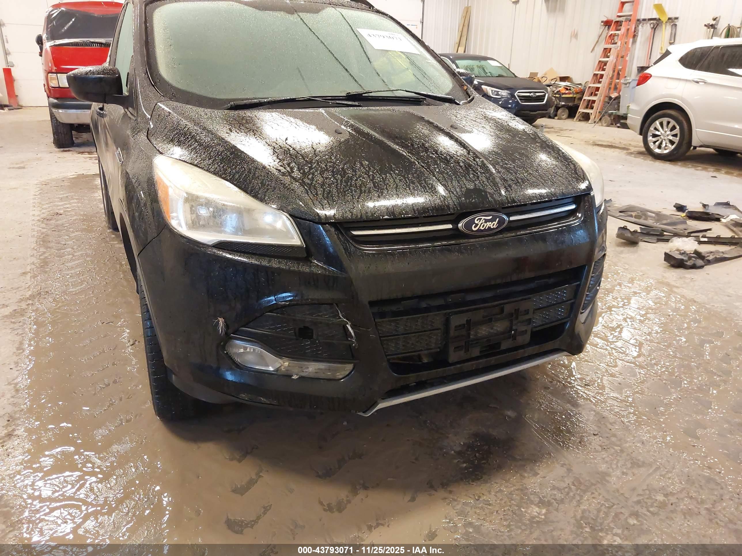 FORD ESCAPE image 6