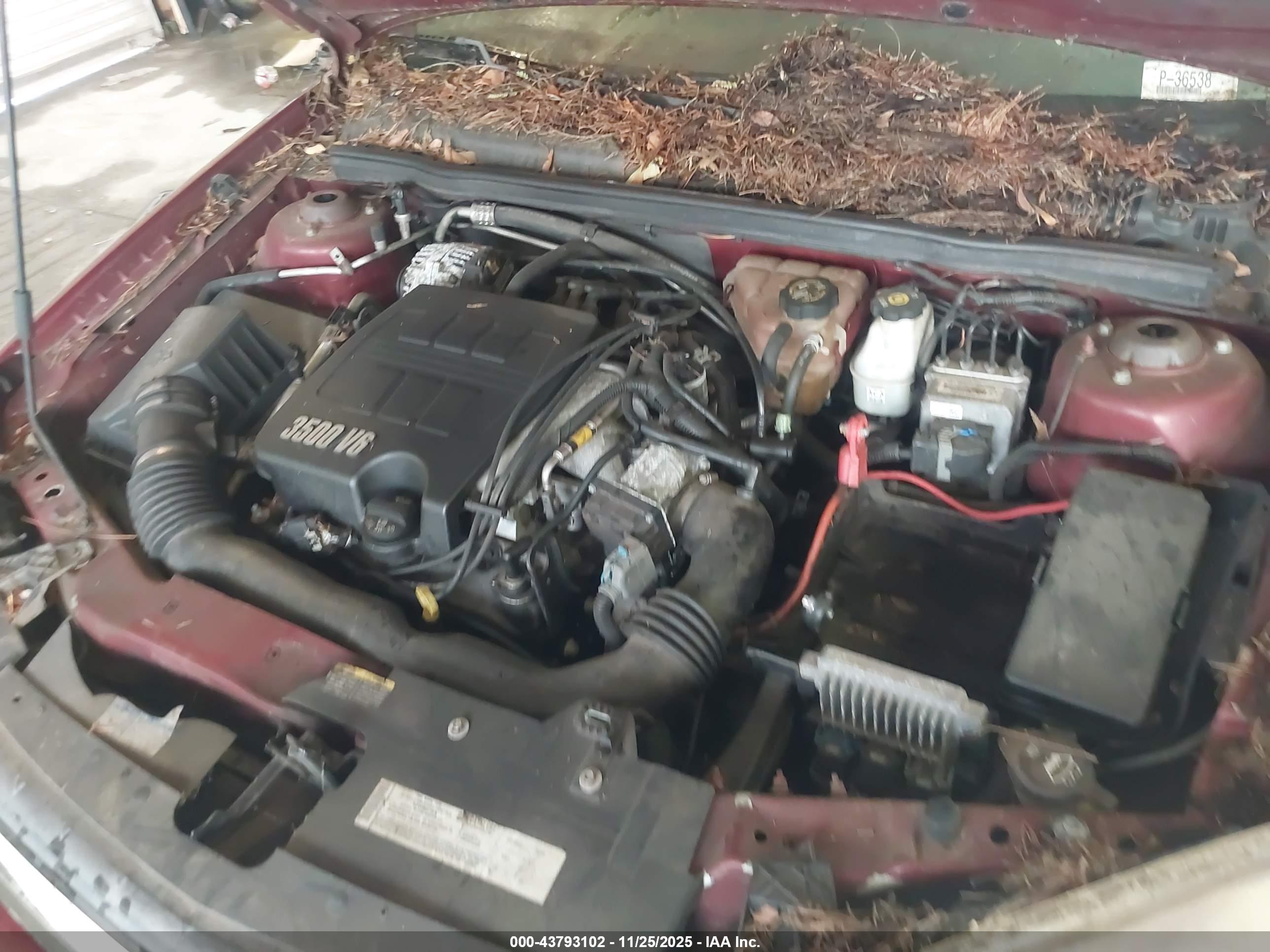 CHEVROLET MALIBU image 10