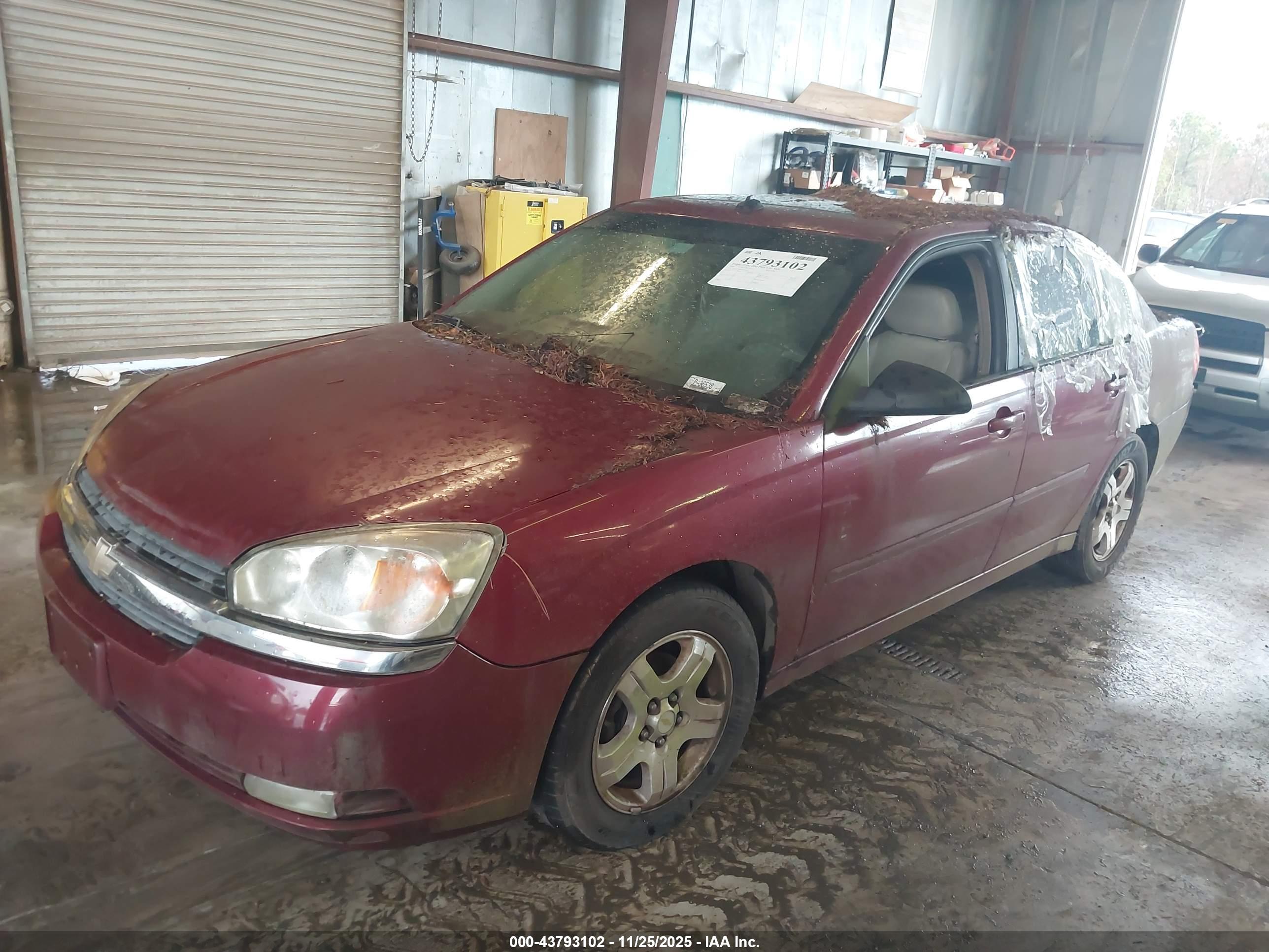 CHEVROLET MALIBU image 2