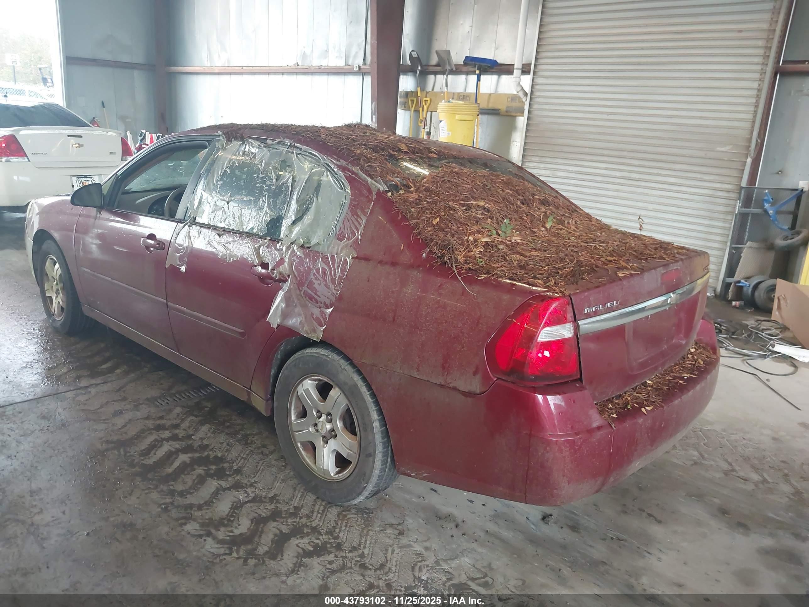 CHEVROLET MALIBU image 3