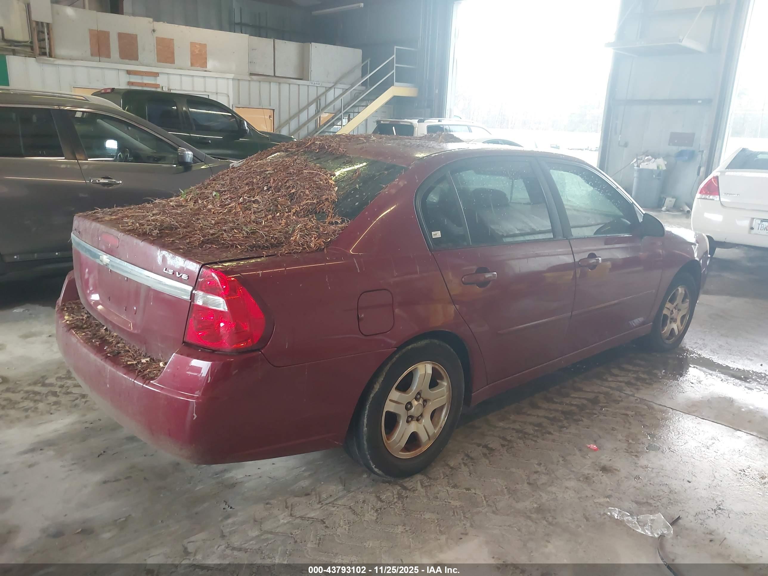 CHEVROLET MALIBU image 4
