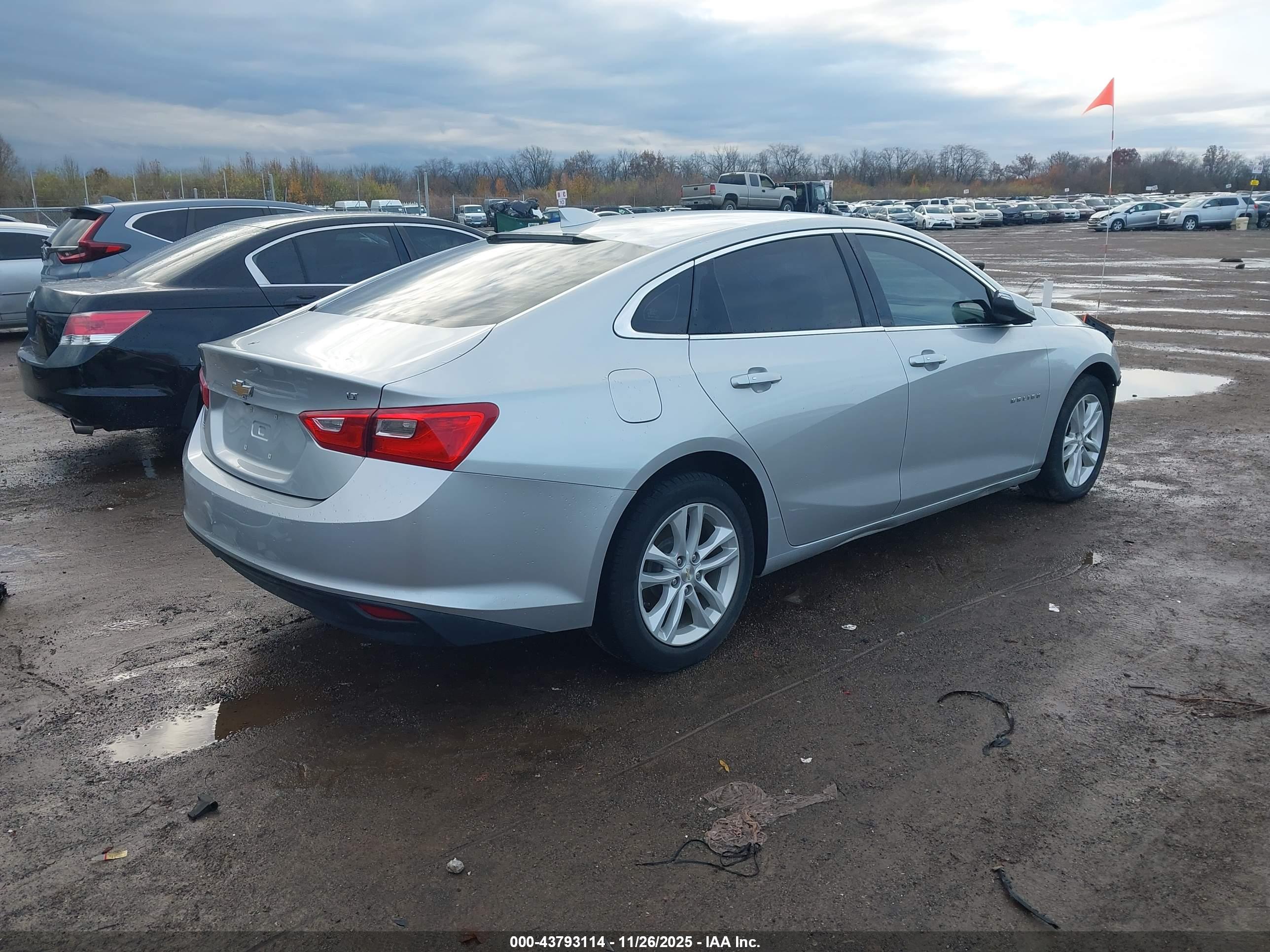 CHEVROLET MALIBU image 4
