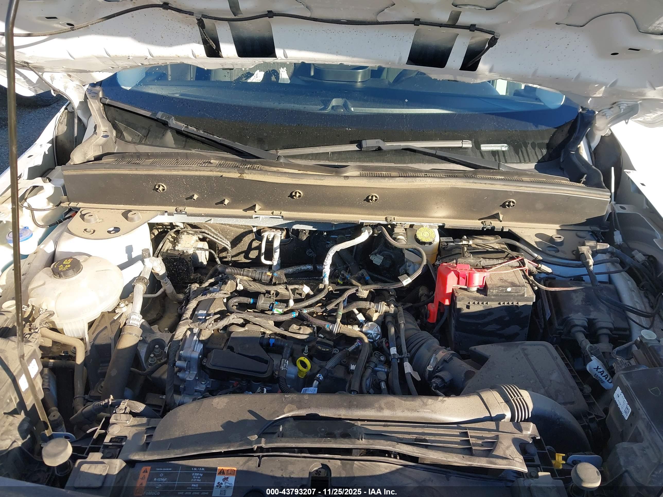 FORD BRONCO image 10
