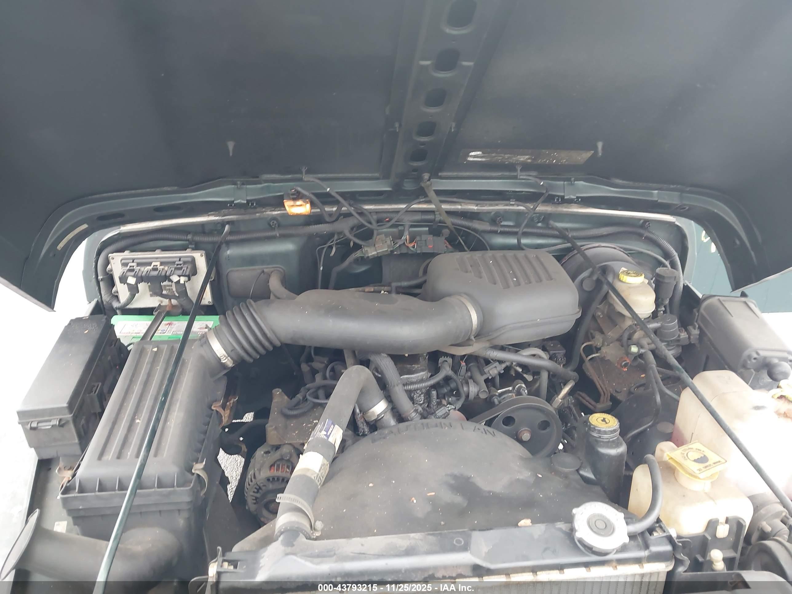 JEEP WRANGLER image 10