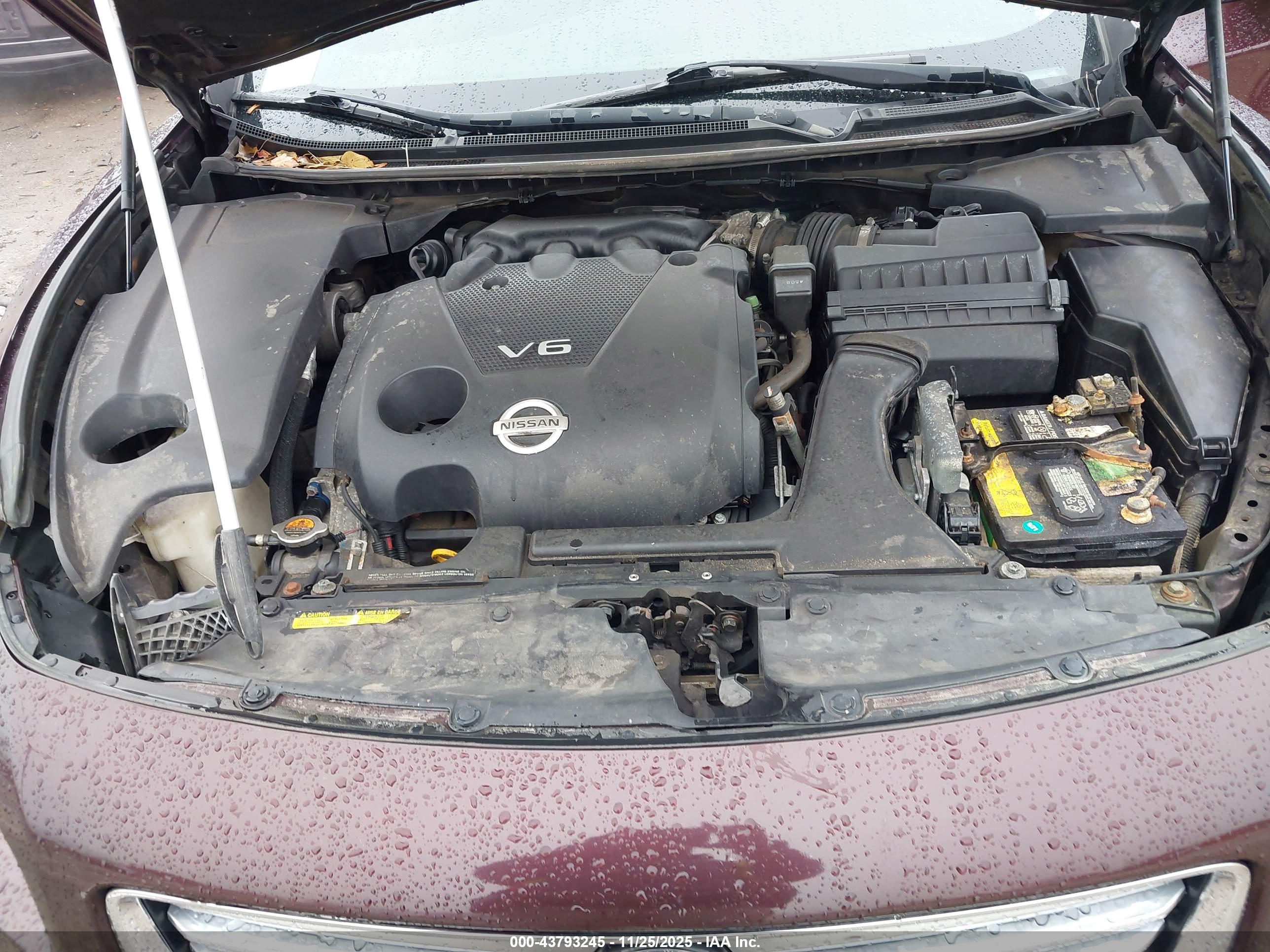 NISSAN MAXIMA image 10