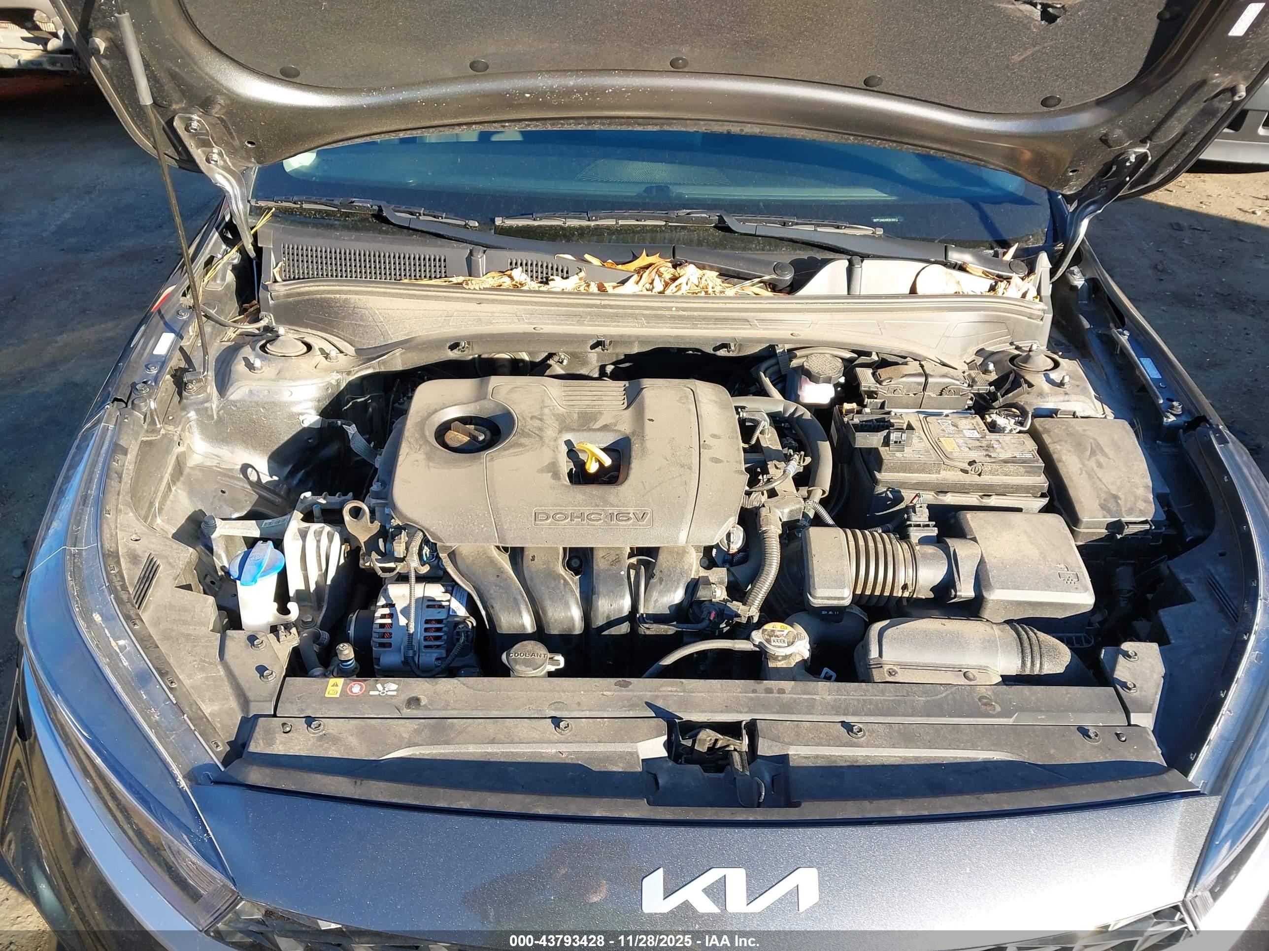 KIA FORTE image 10