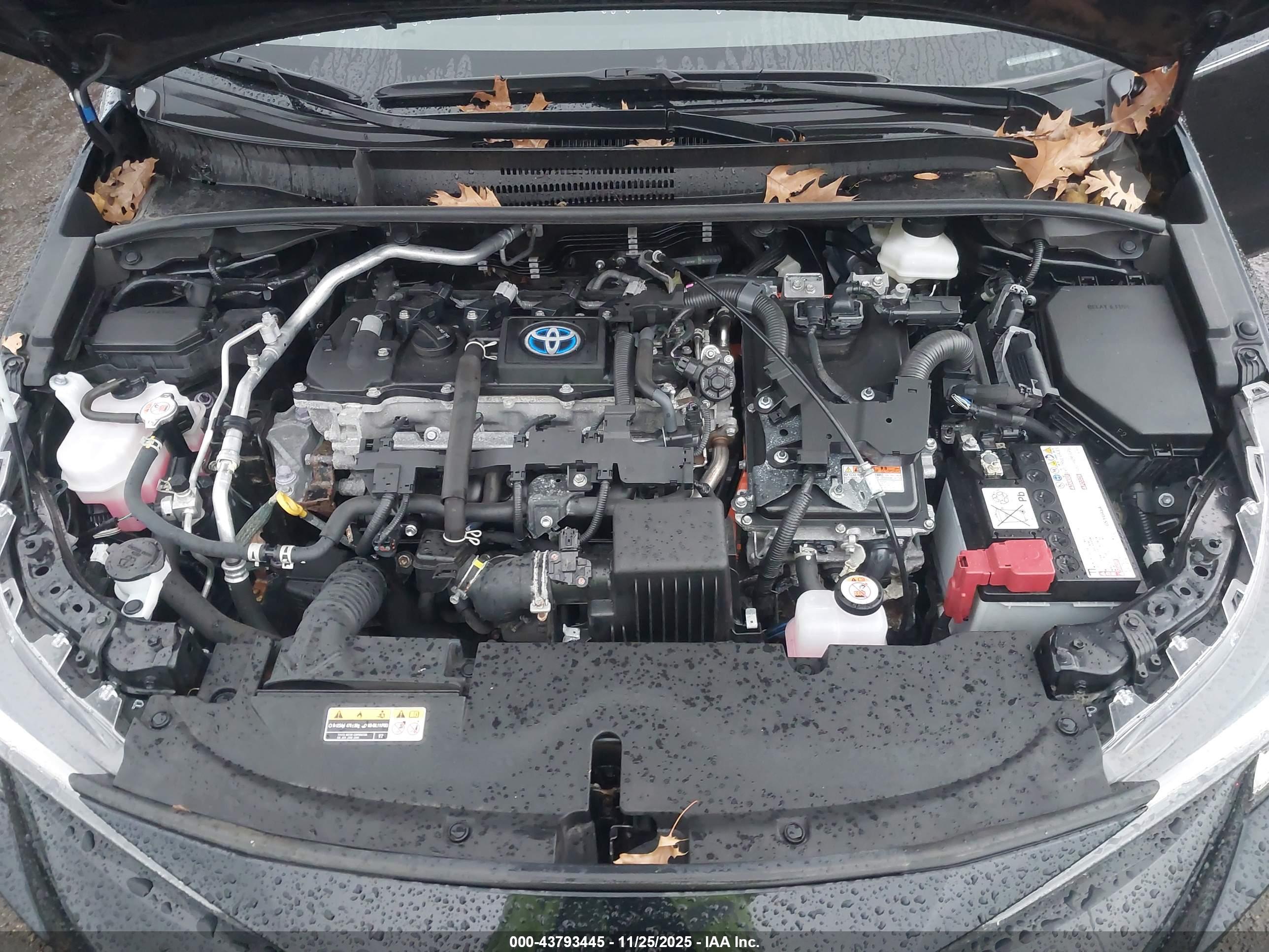 TOYOTA COROLLA image 10