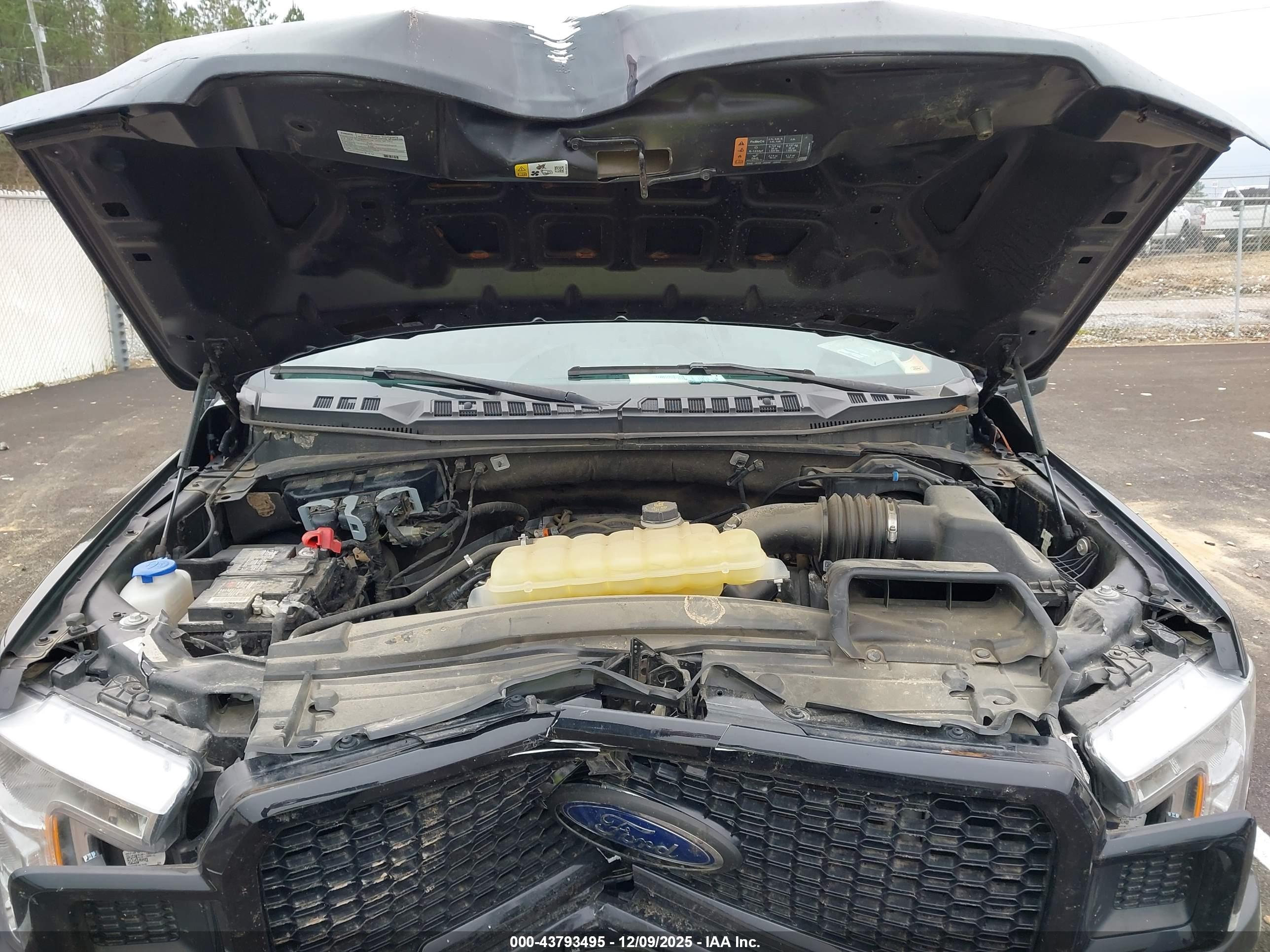 FORD F-150 image 10