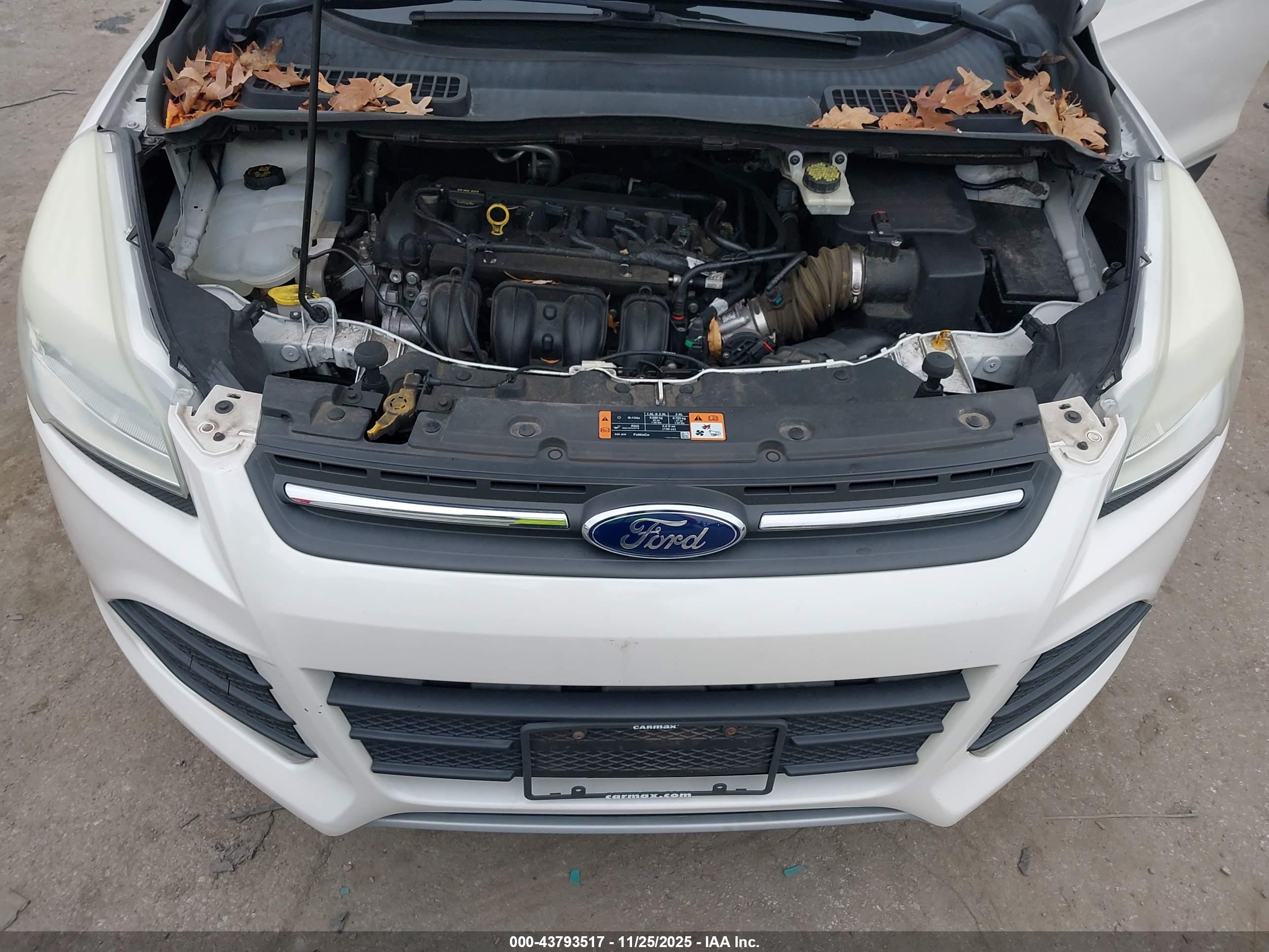 FORD ESCAPE image 10