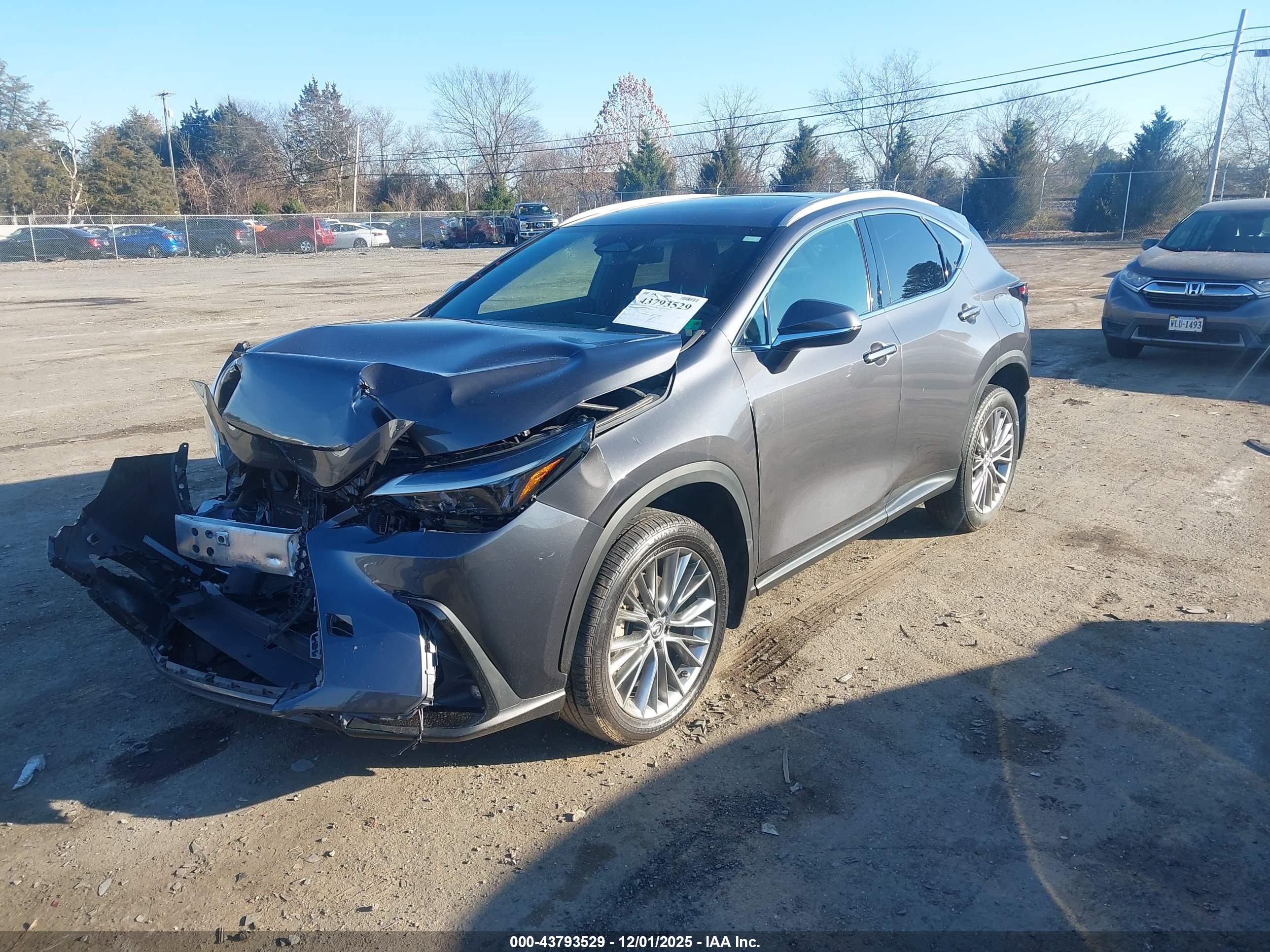 LEXUS NX image 2