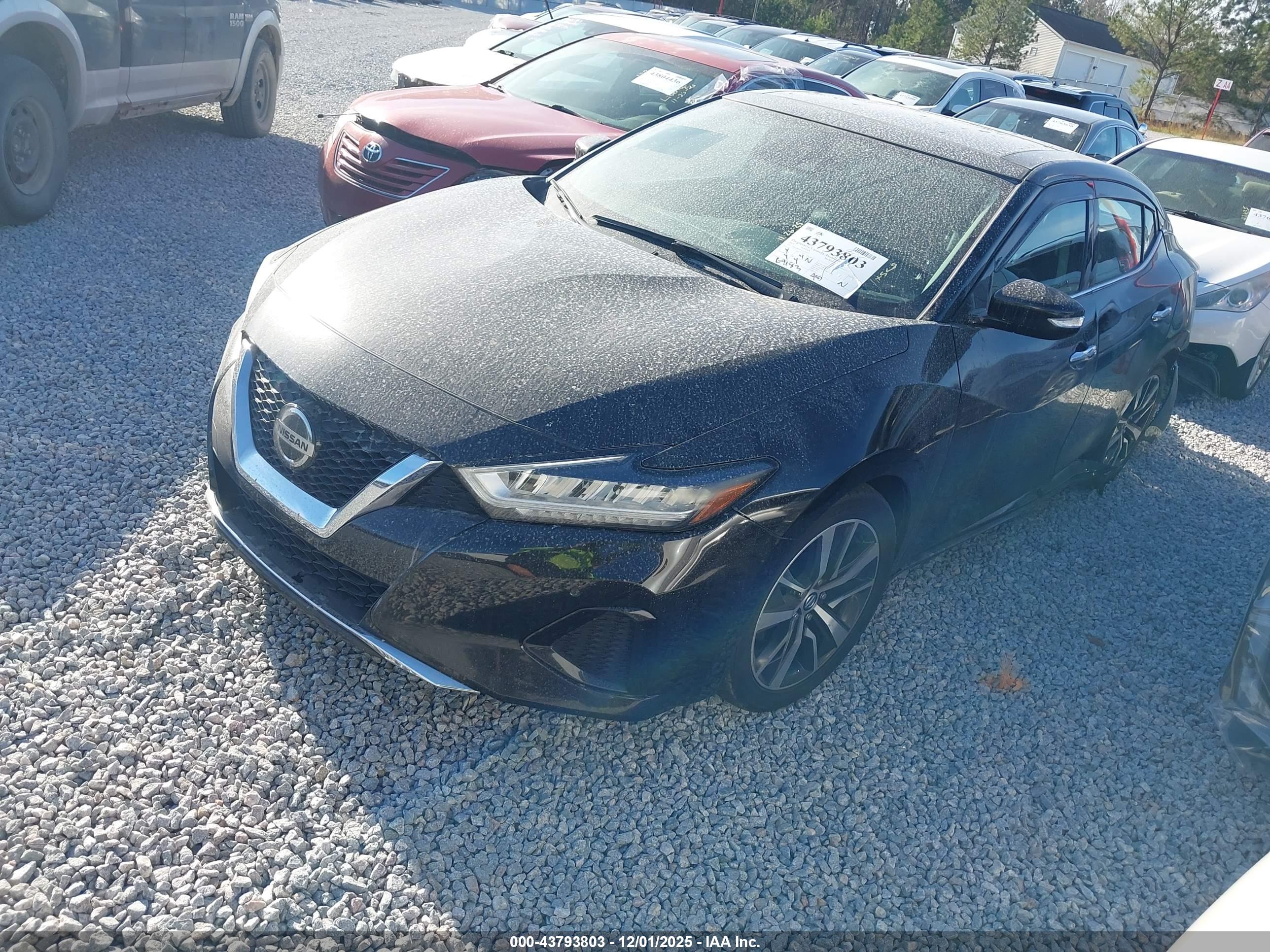 NISSAN MAXIMA image 2