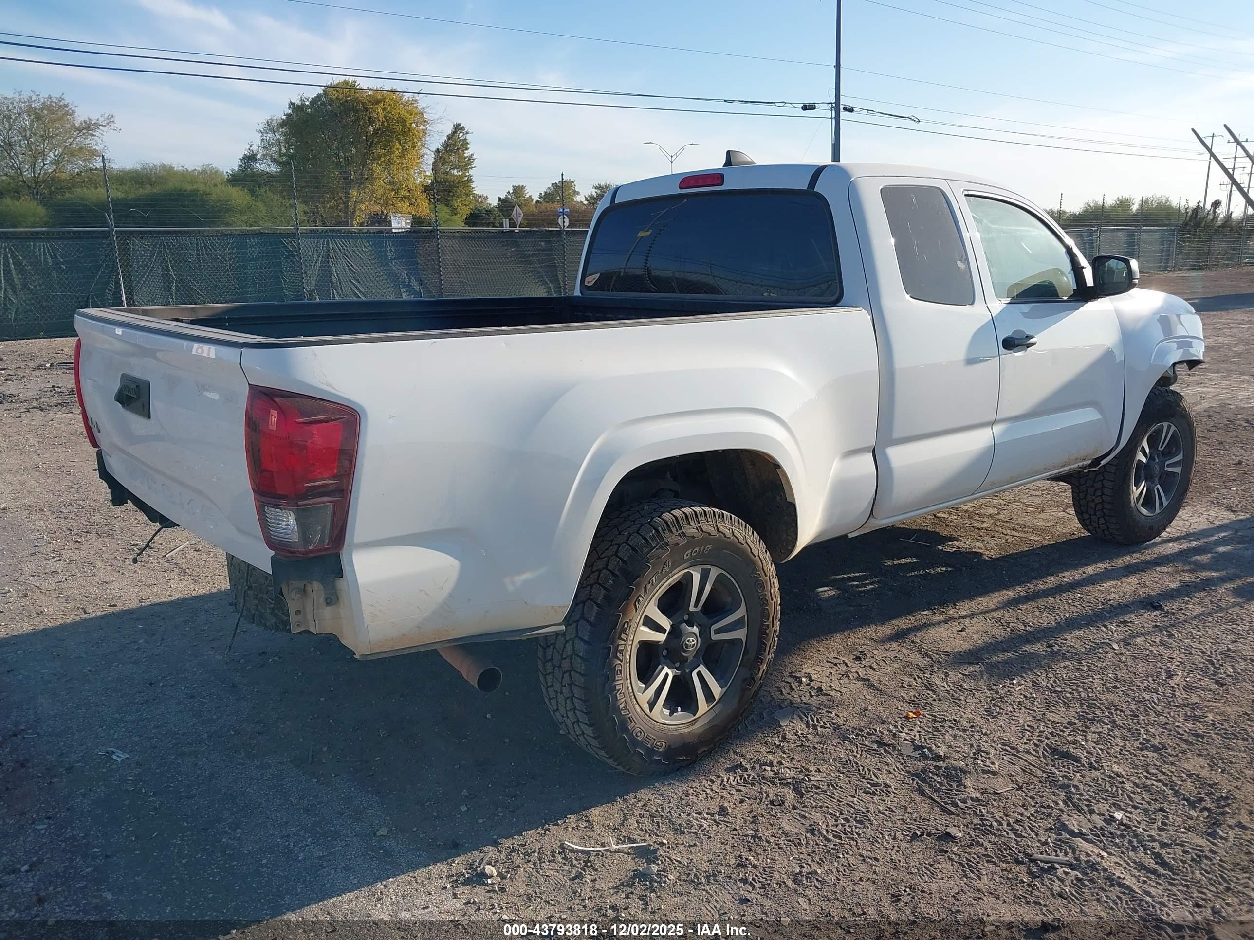 TOYOTA TACOMA image 4