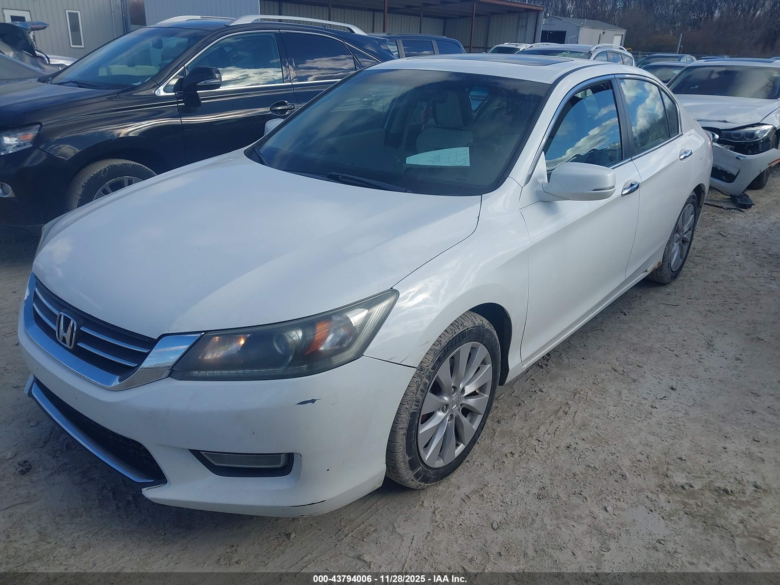 HONDA ACCORD image 2