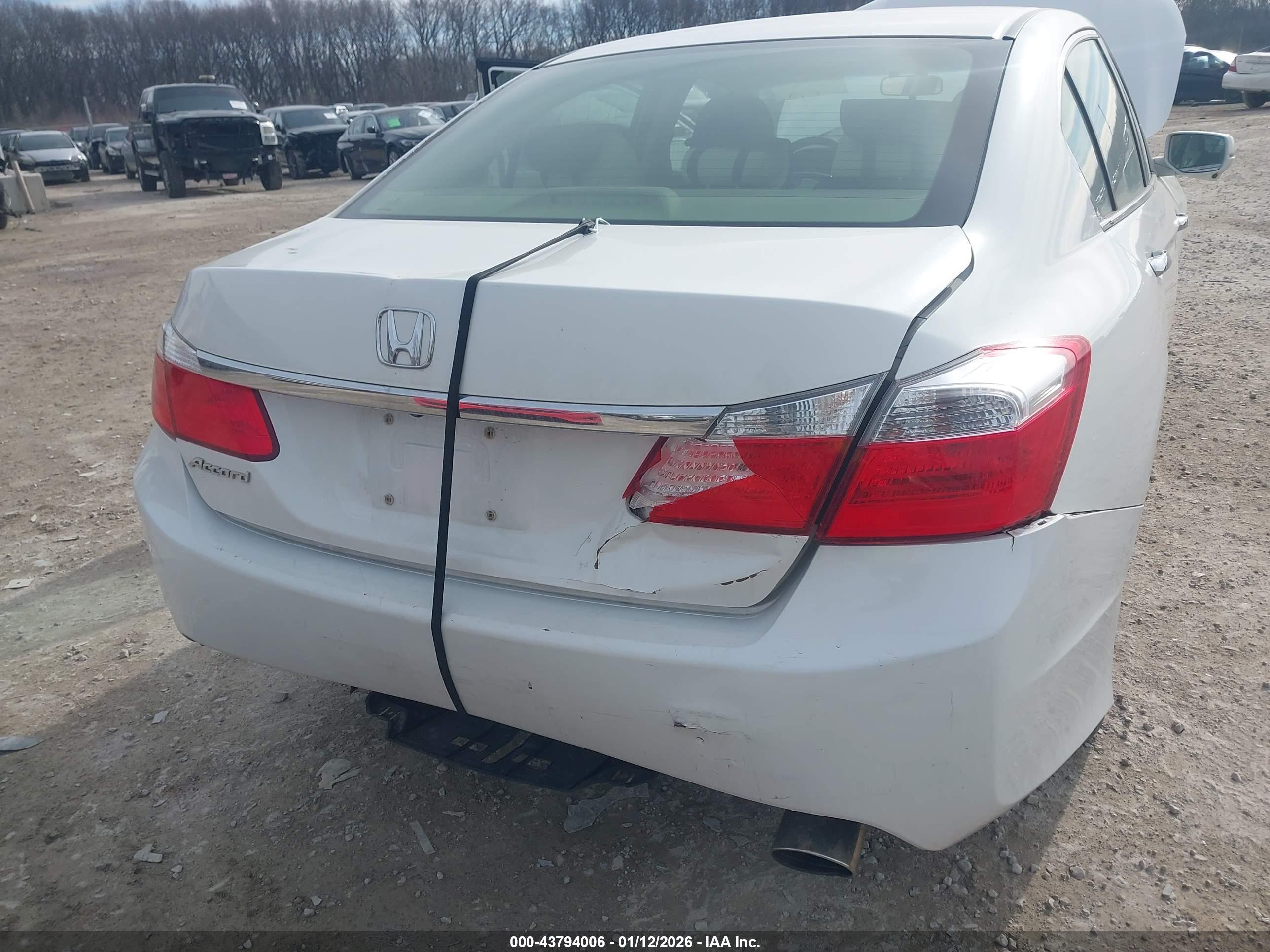 HONDA ACCORD image 6