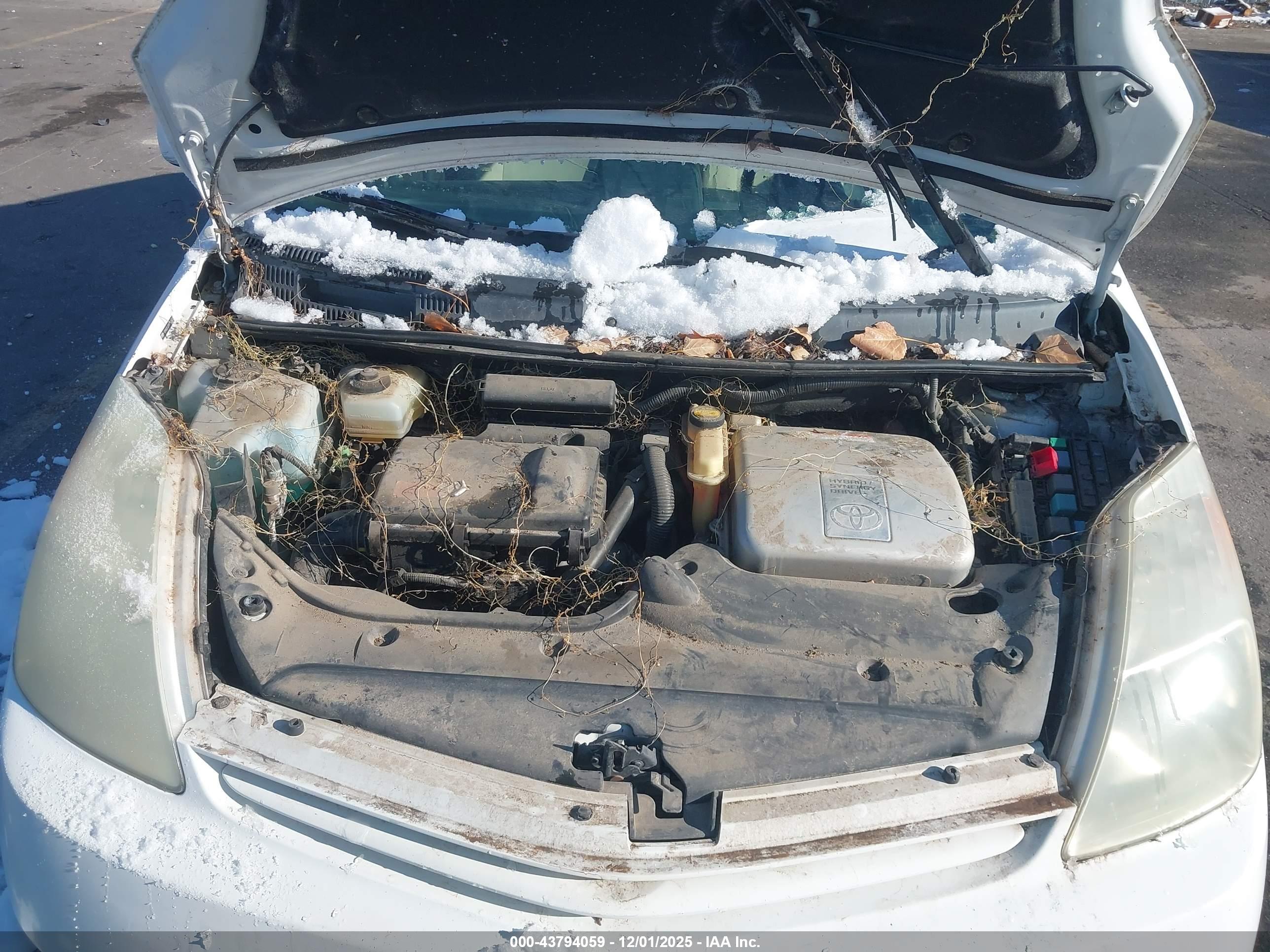 TOYOTA PRIUS image 10