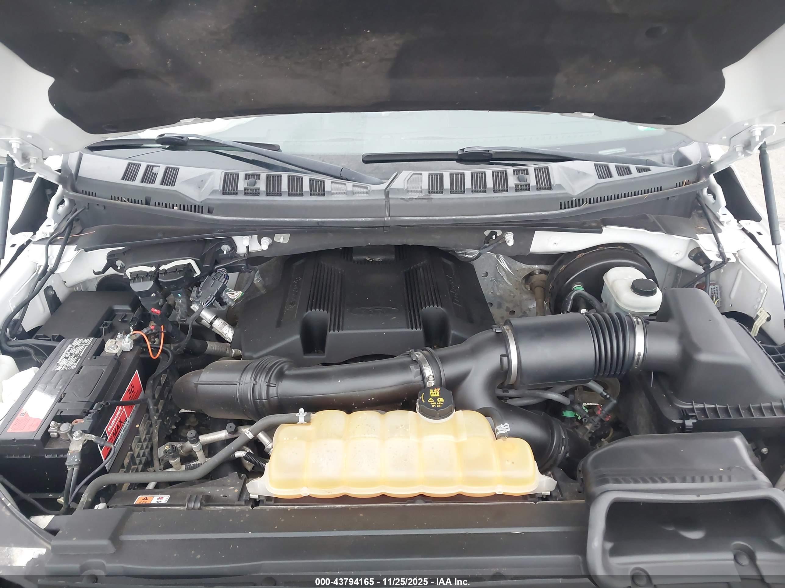 FORD F-150 image 10
