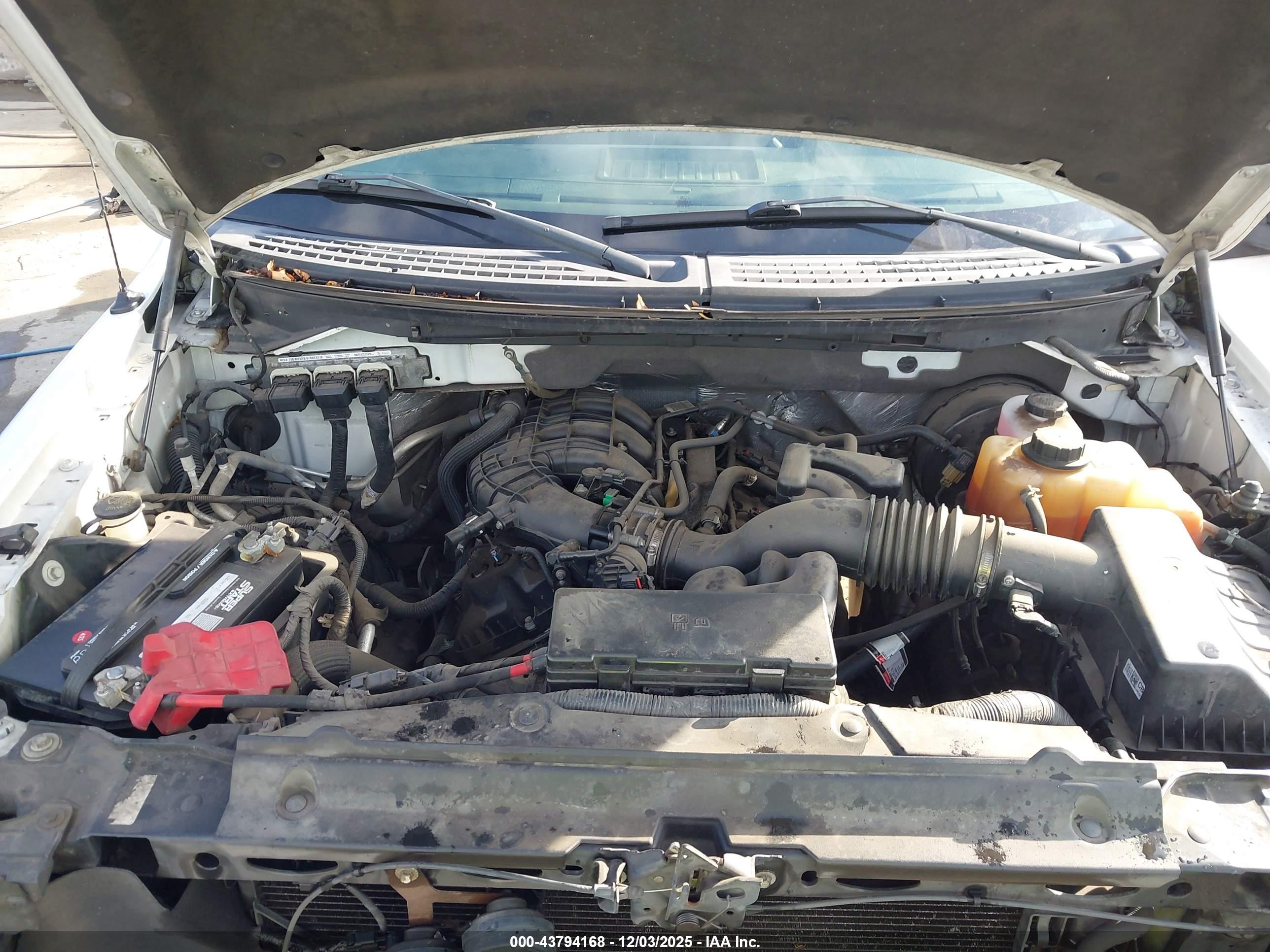 FORD F-150 image 10