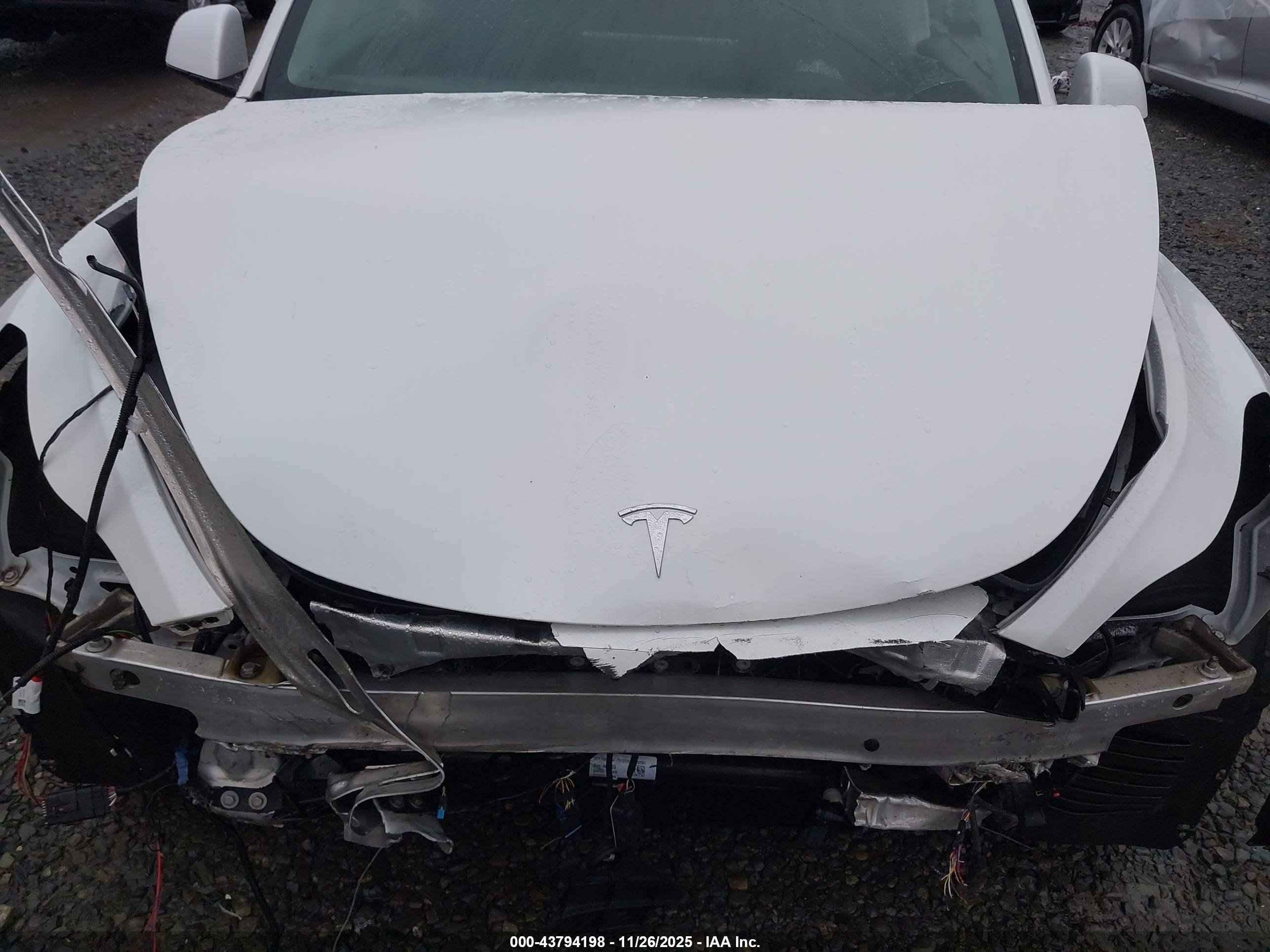 TESLA MODEL image 10