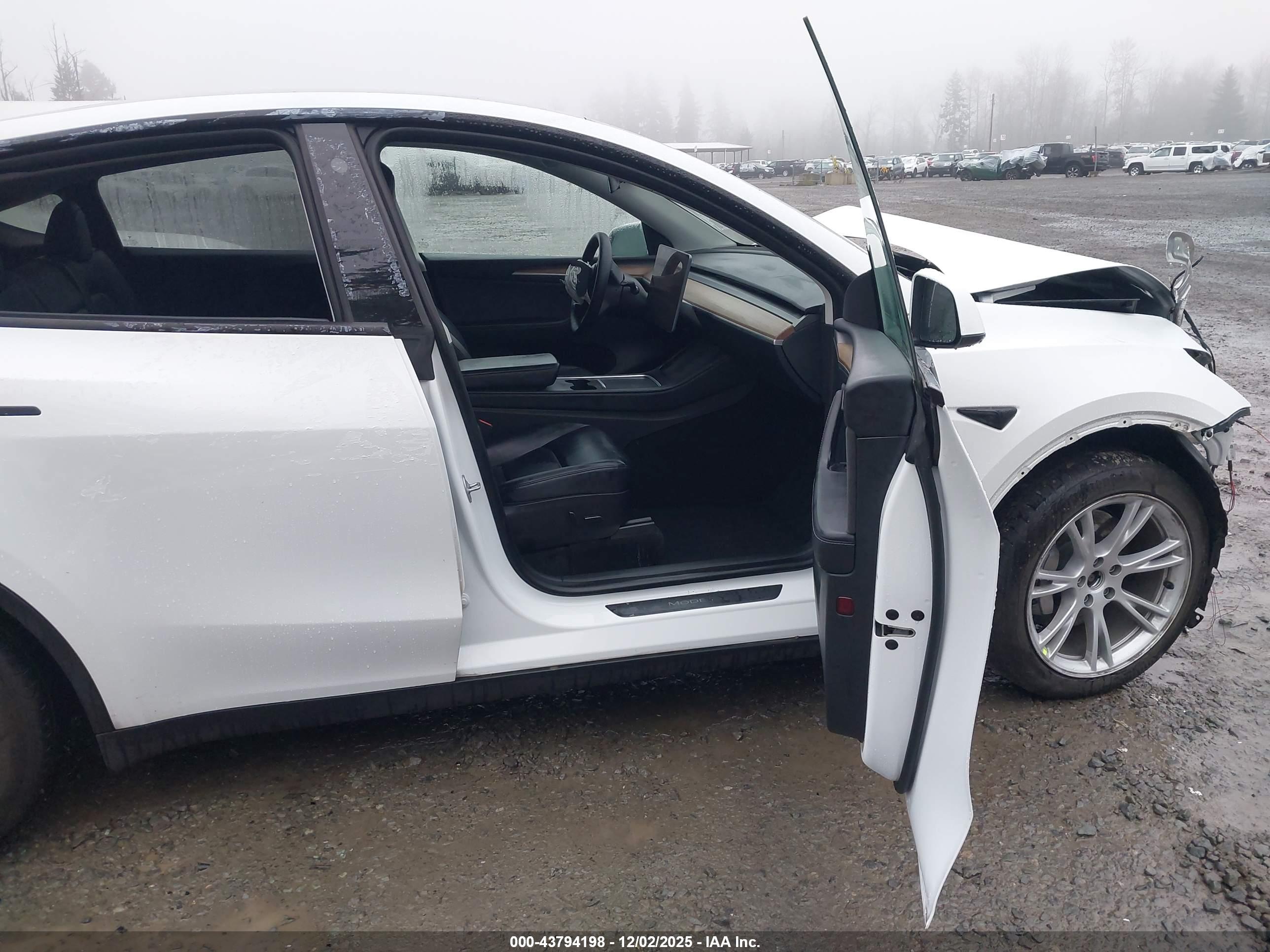TESLA MODEL image 5